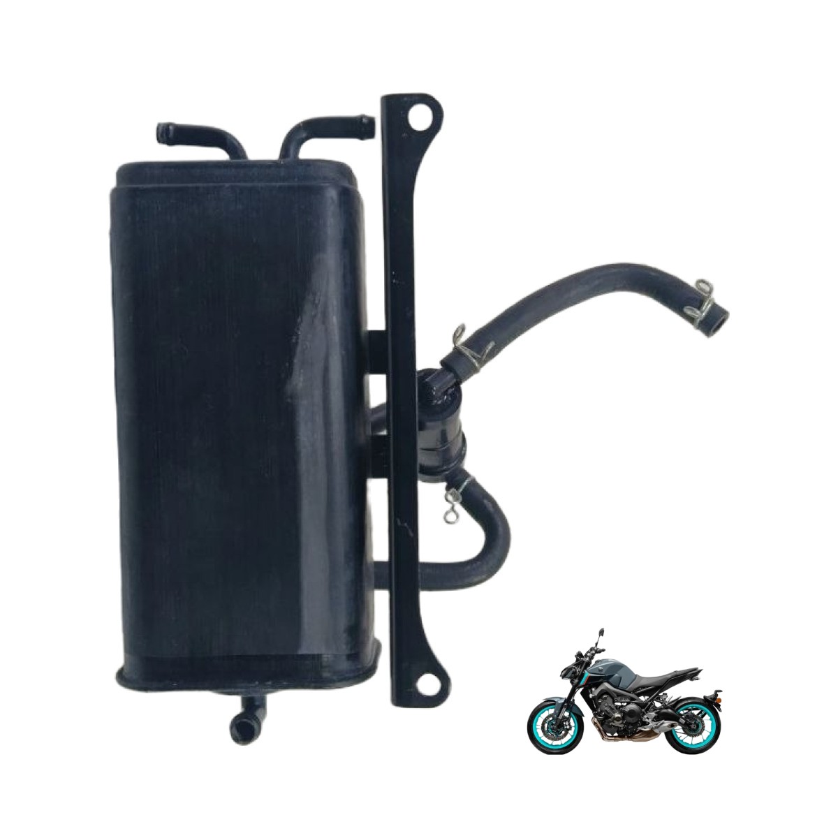 Filtro canister MT 09 2018 16373