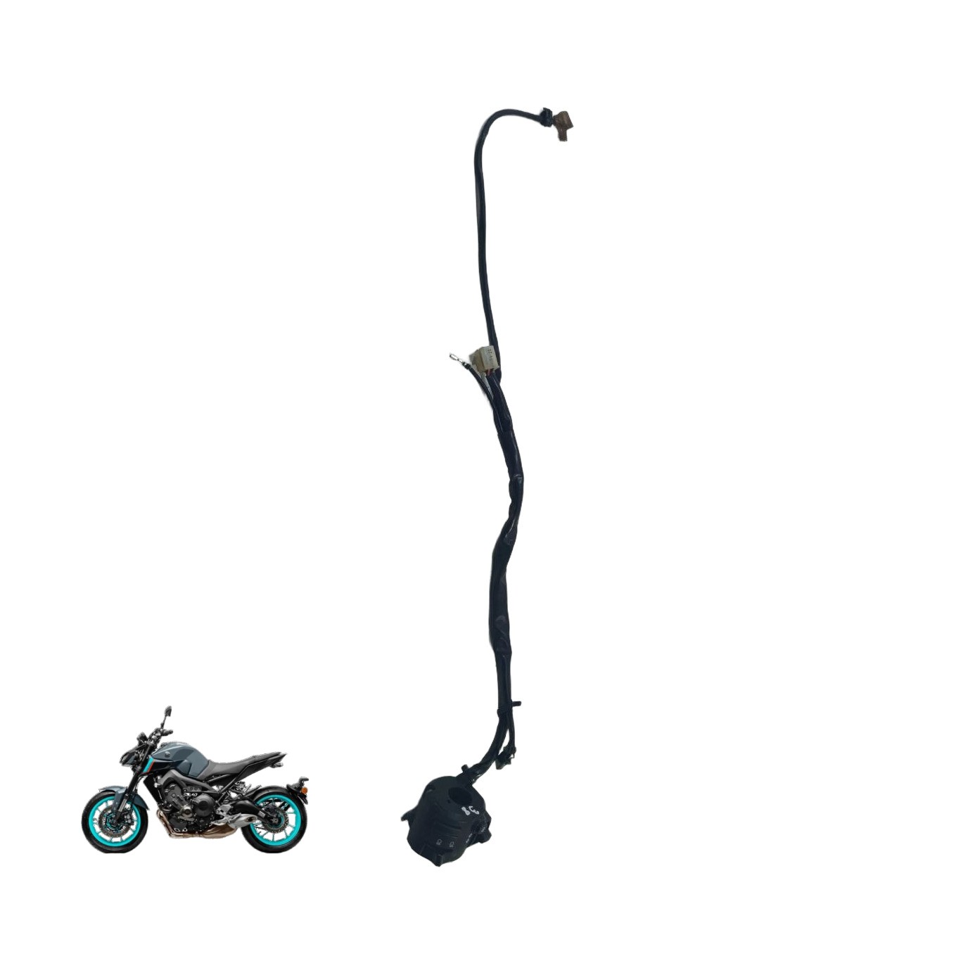 Punho luz MT 09 2018 16397