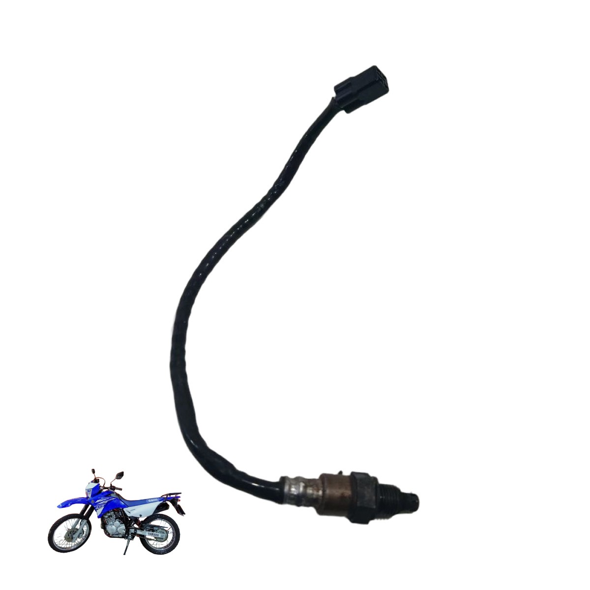 Sonda lambda XTZ Lander 250 2019 15565