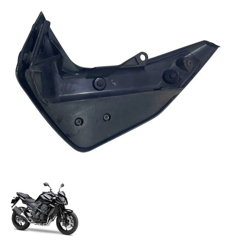 Protetor Radiador L/d Kawasaki Z750 2020 6669 6