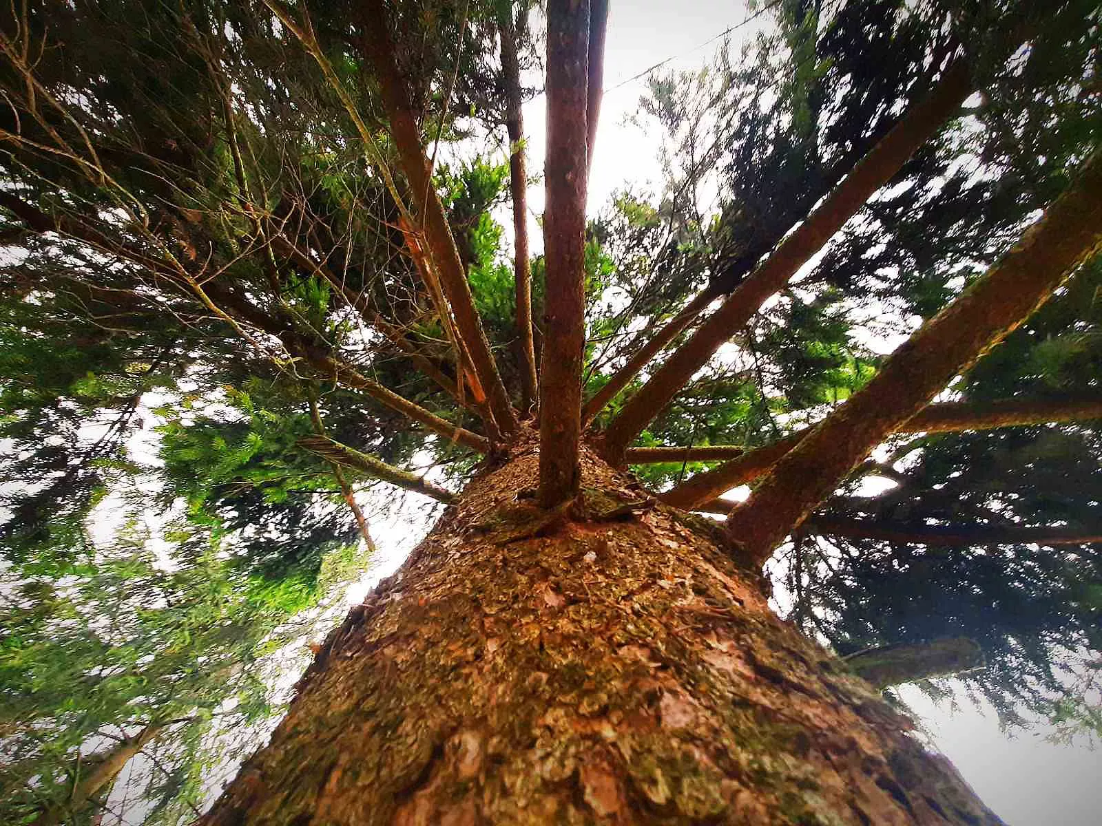 географічний