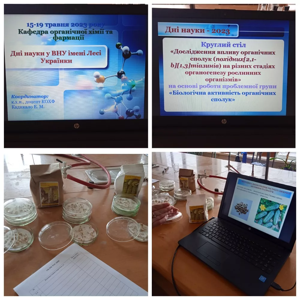 На кафедрі органічної хімії та фармації представили наукові розробки студентів