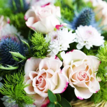 Студенти Університету – переможці Всеукраїнського конкурсу винахідницьких і раціоналізаторських проєктів еколого-натуралістичного напряму