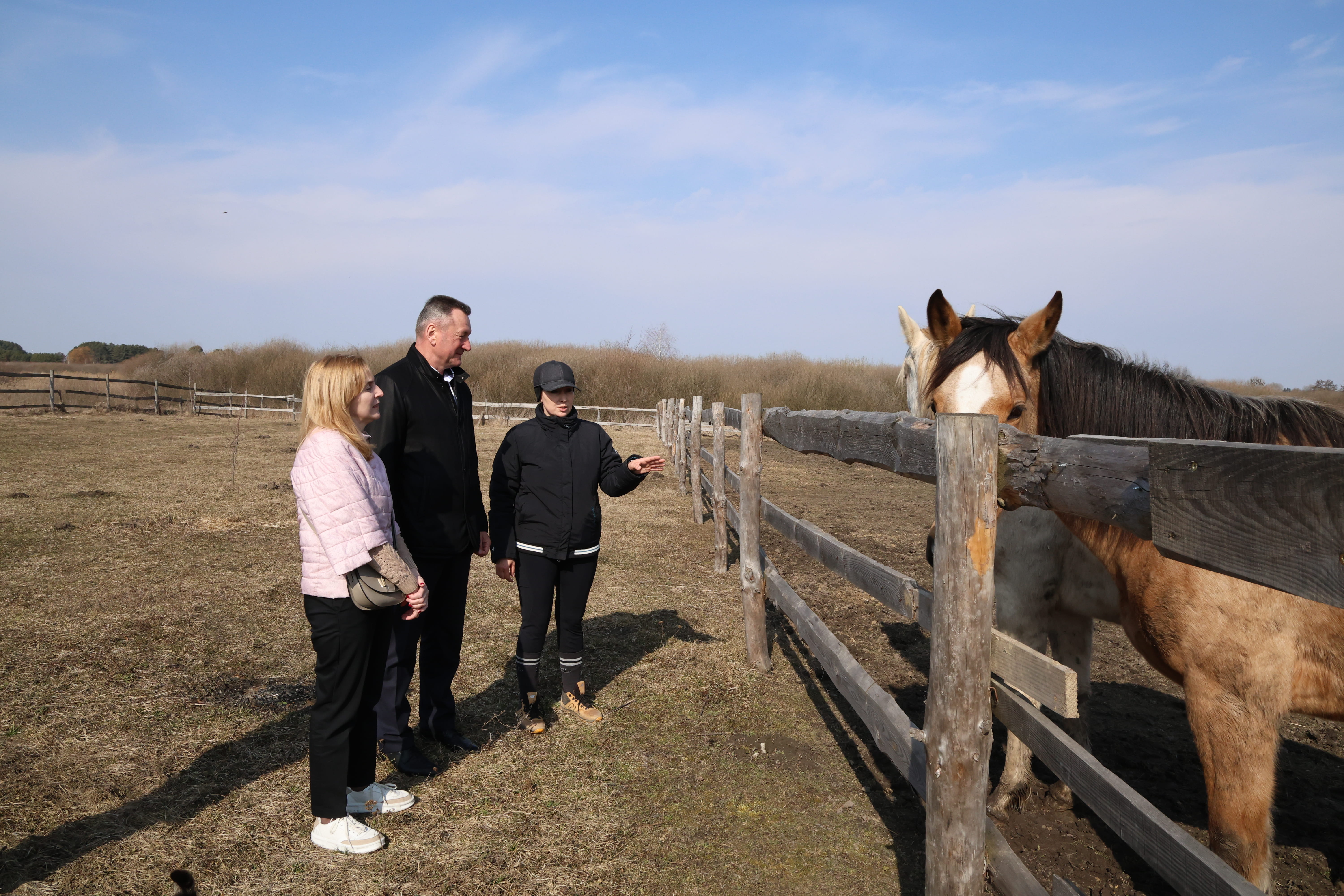 ВНУ імені Лесі Українки налагоджує співпрацю з кінним клубом «Антарес» для розвитку у сфері фізичної терапії та ерготерапії