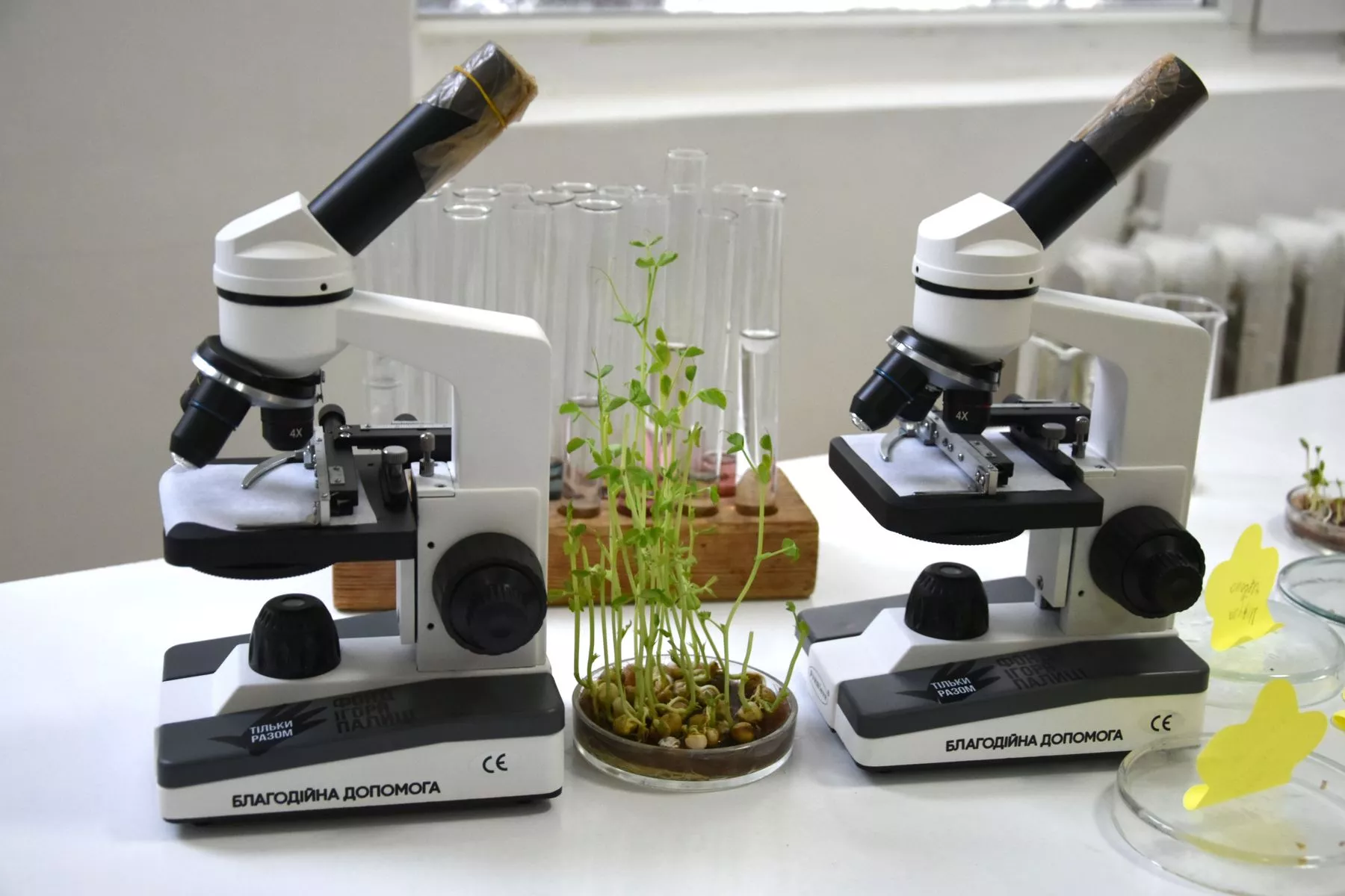 мікроскопи