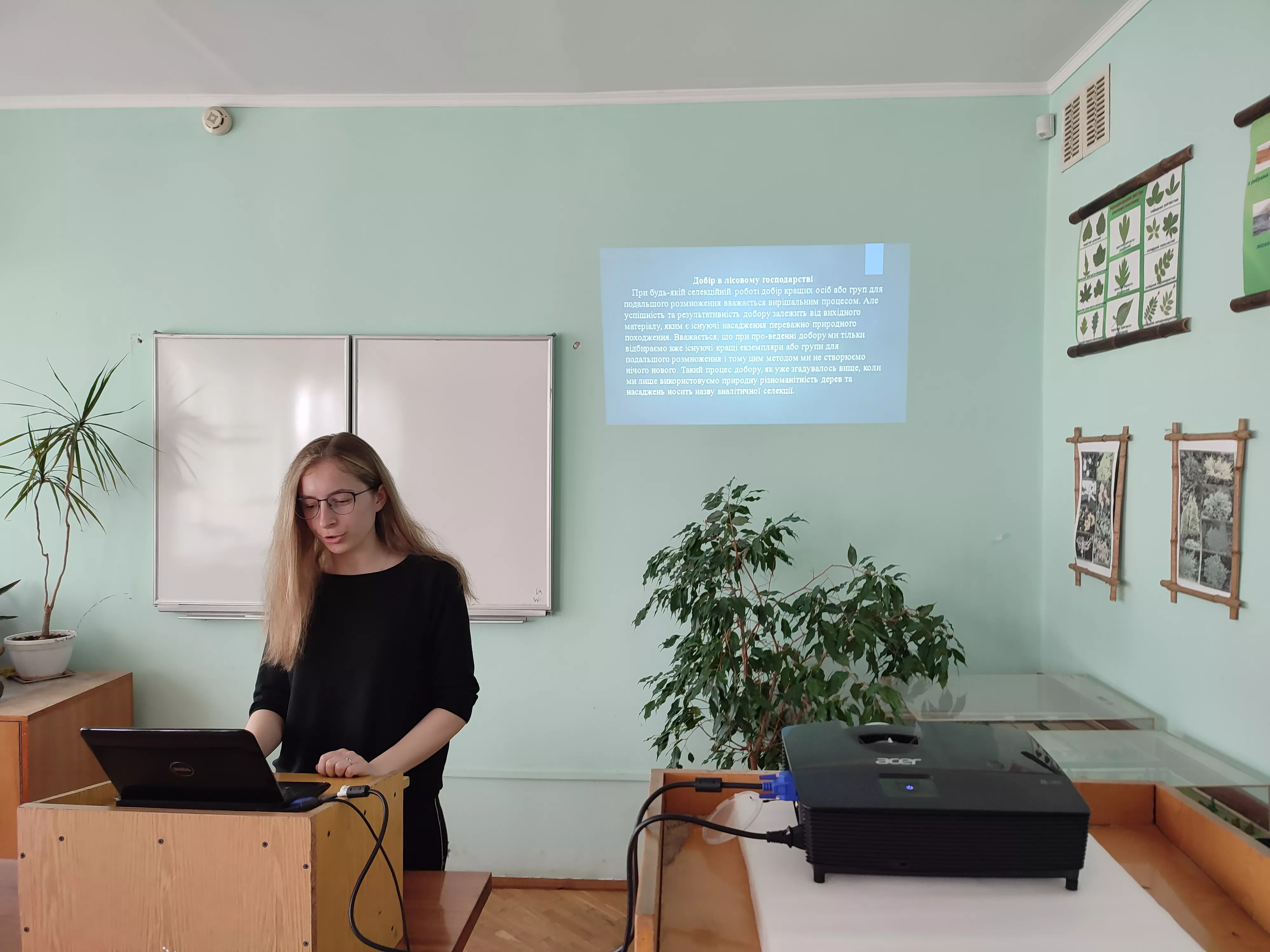 Розвиток лісової селекції в Україні