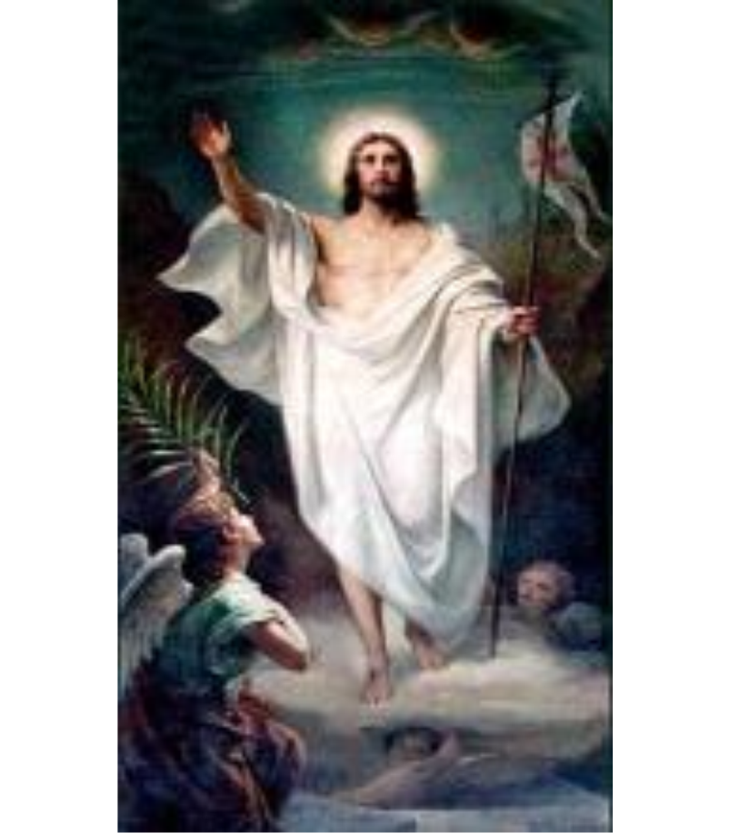 Вітання з великоднем Східноєвропейський національний університет імені Лесі Українки