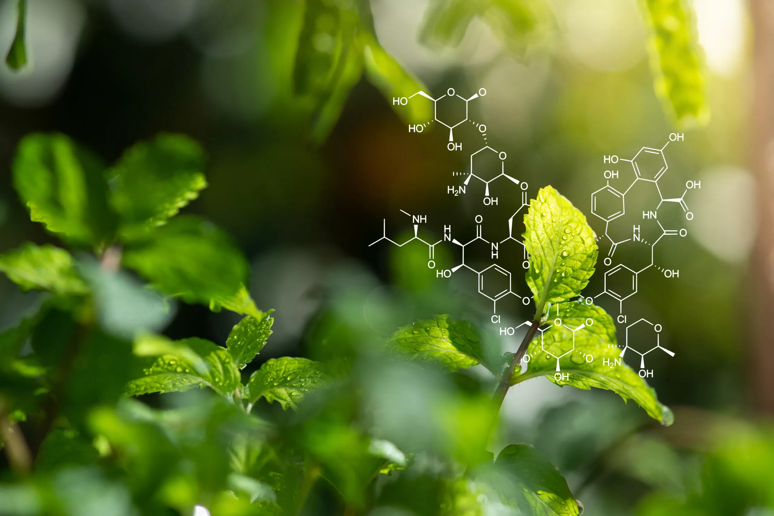 НФДУ оголошує конкурс у галузі математичних, природничих і технічних наук