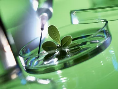 Додаткові бали до ЗНО з біології при вступі до СНУ – учасникам олімпіади з біології