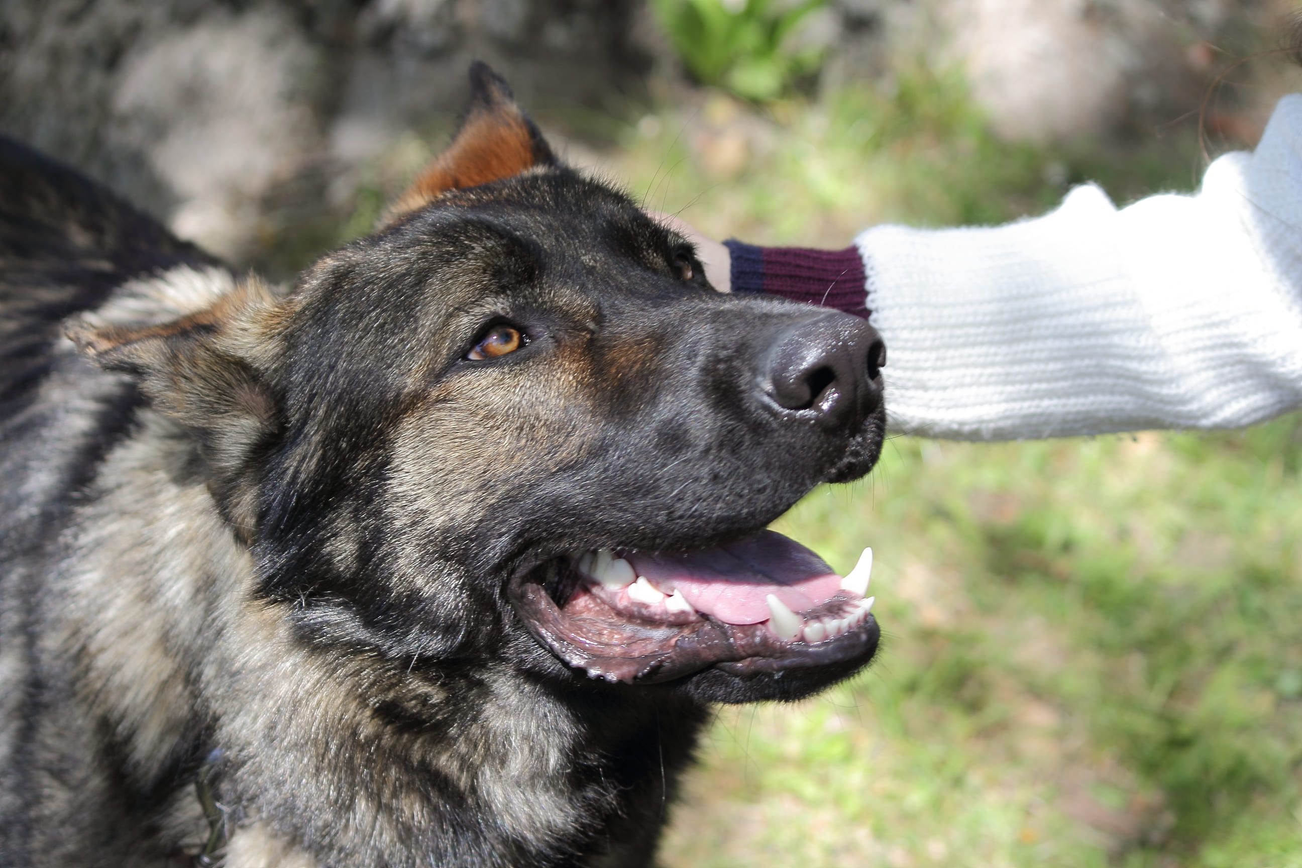 Сила спільноти: на благодійній гутірці ВНУ імені Лесі Українки зібрали 58 тисяч гривень
