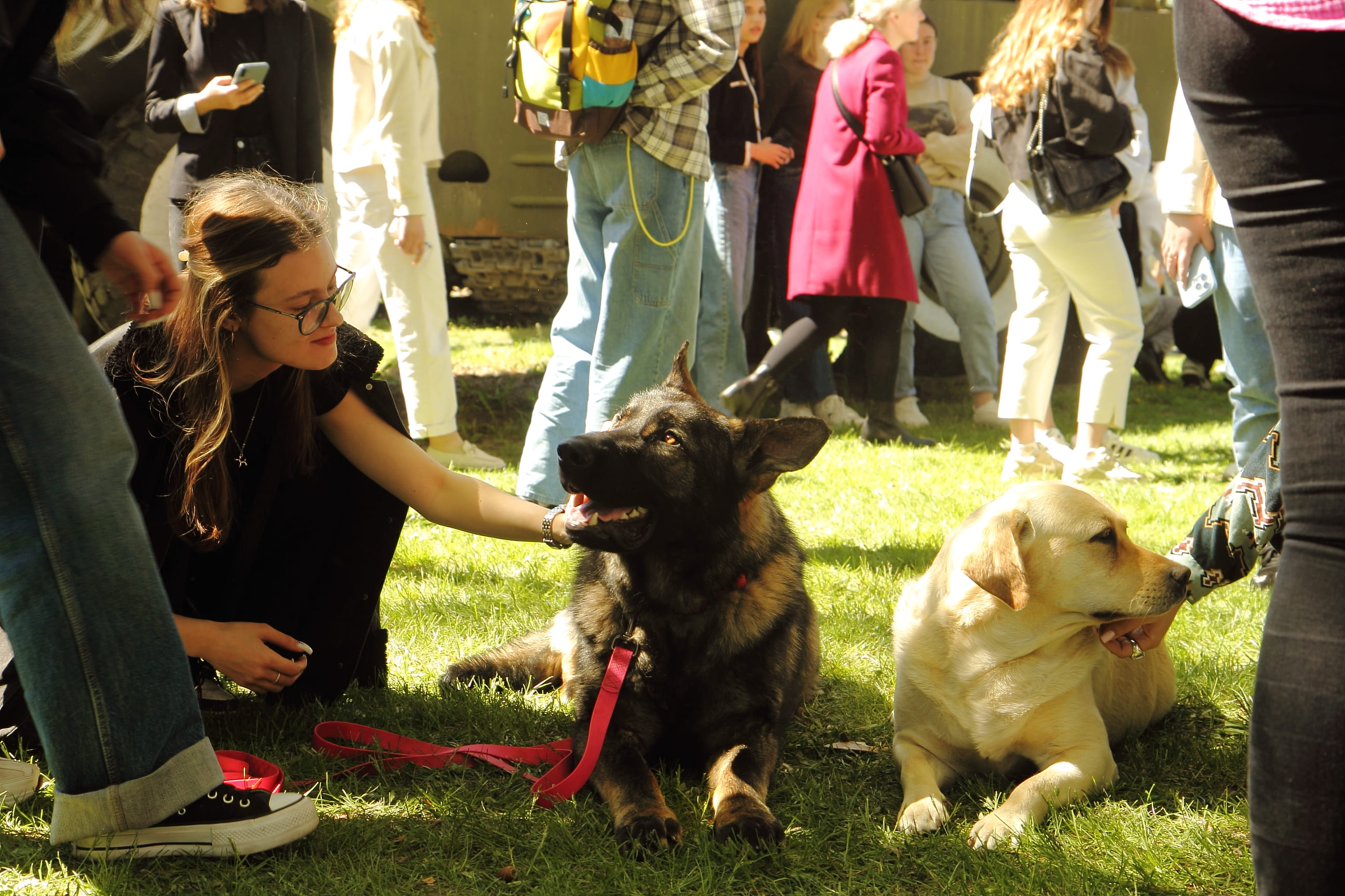 Сила спільноти: на благодійній гутірці ВНУ імені Лесі Українки зібрали 58 тисяч гривень