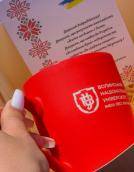 Аукціон, фотосесії та флешмоби: Лесині люди відзначили день вишиванки у замку Любарта