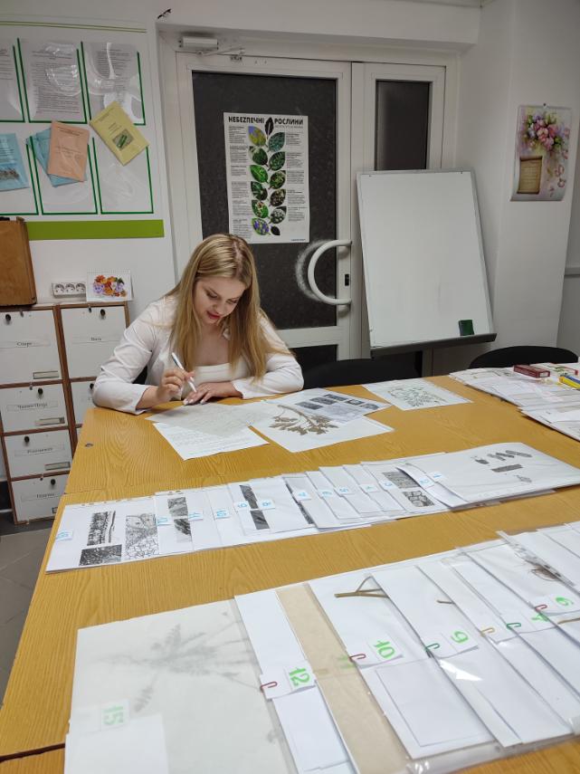 фармацевти