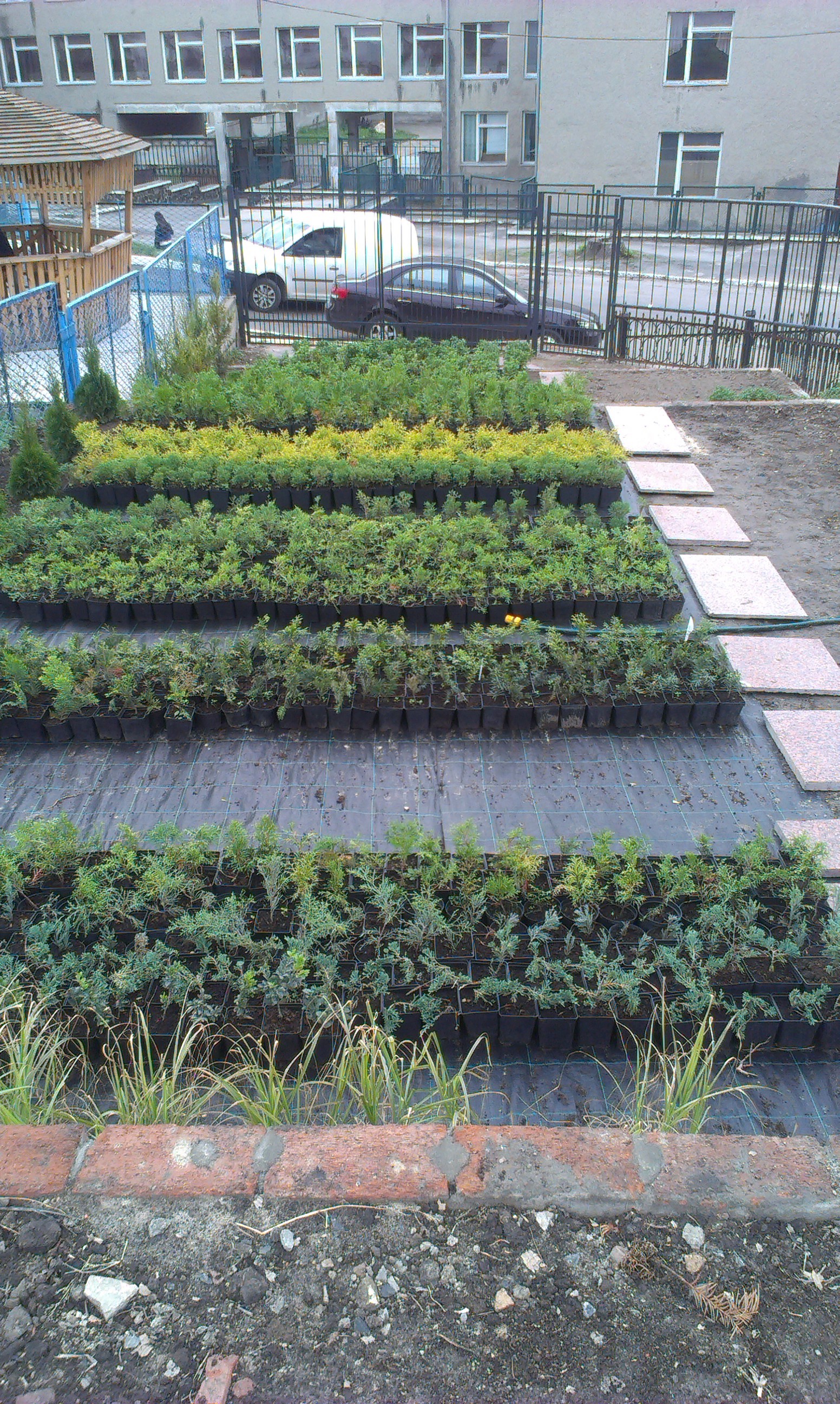 Зображення видалено.