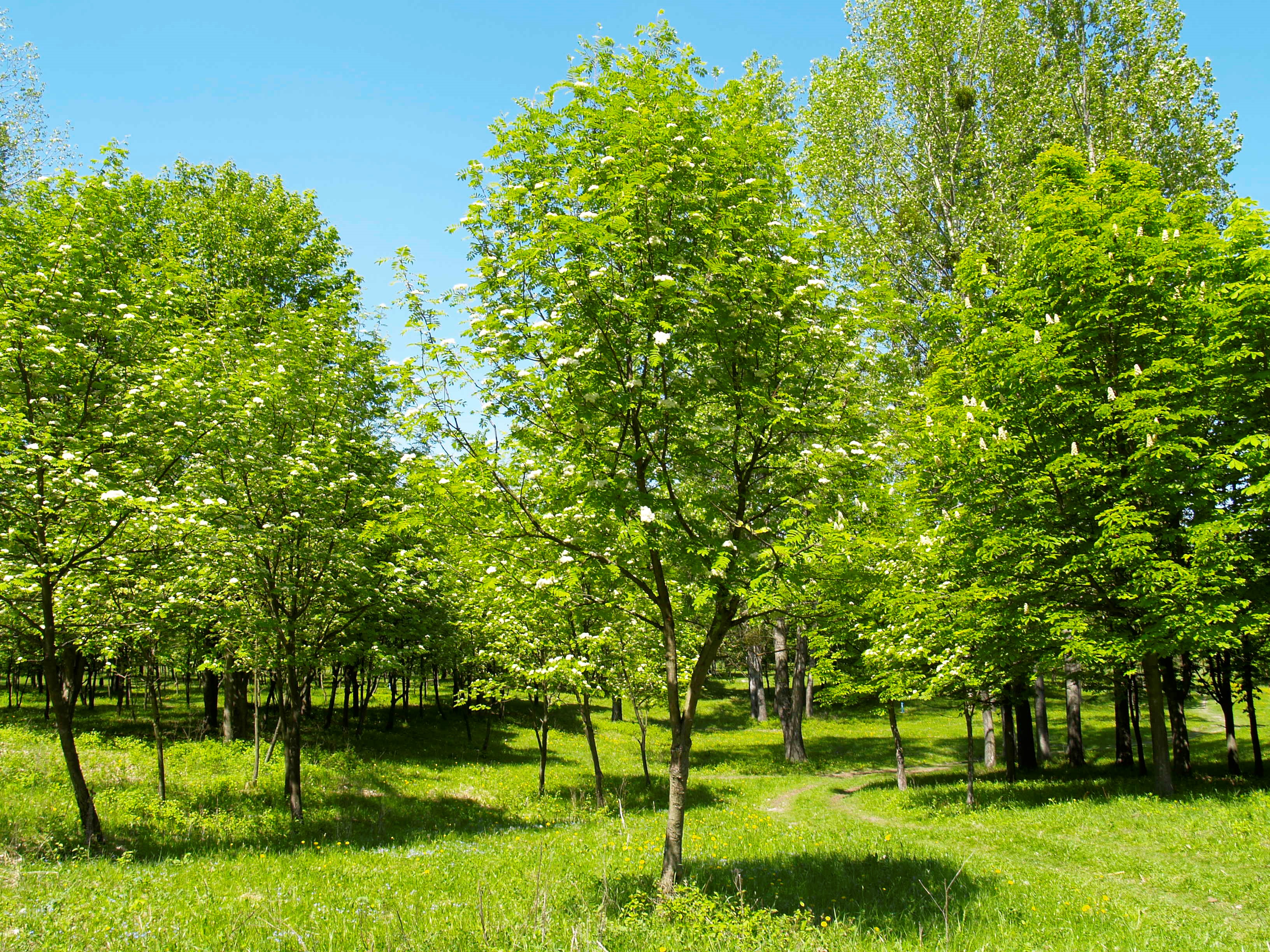 Зображення видалено.
