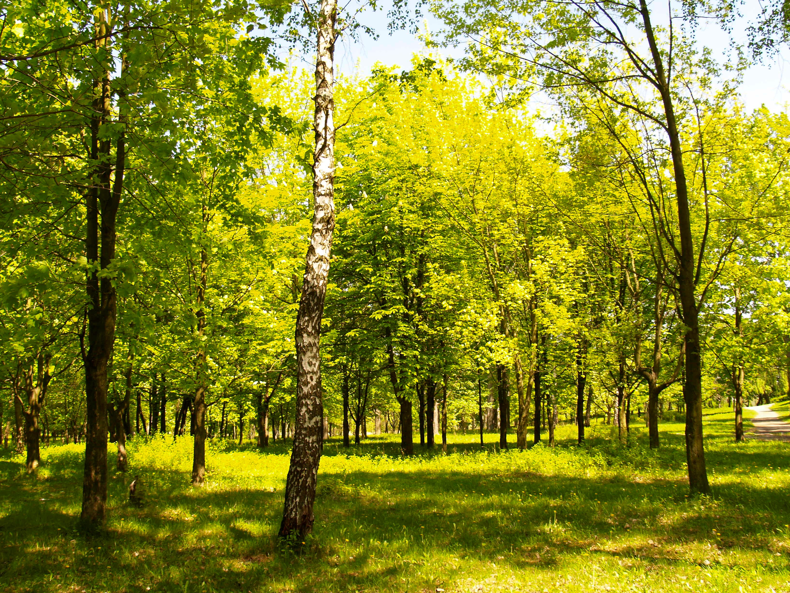 Зображення видалено.