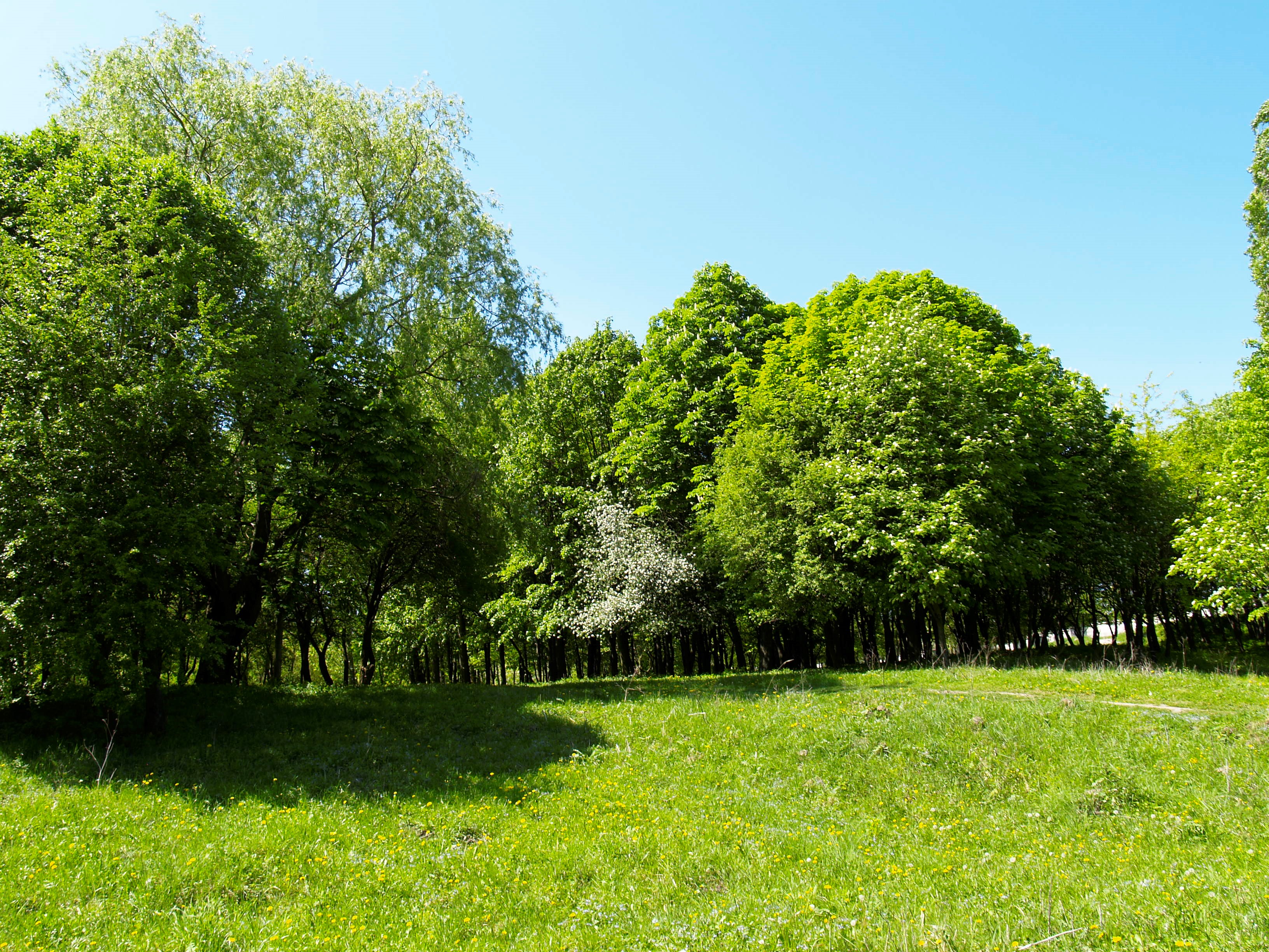 Зображення видалено.