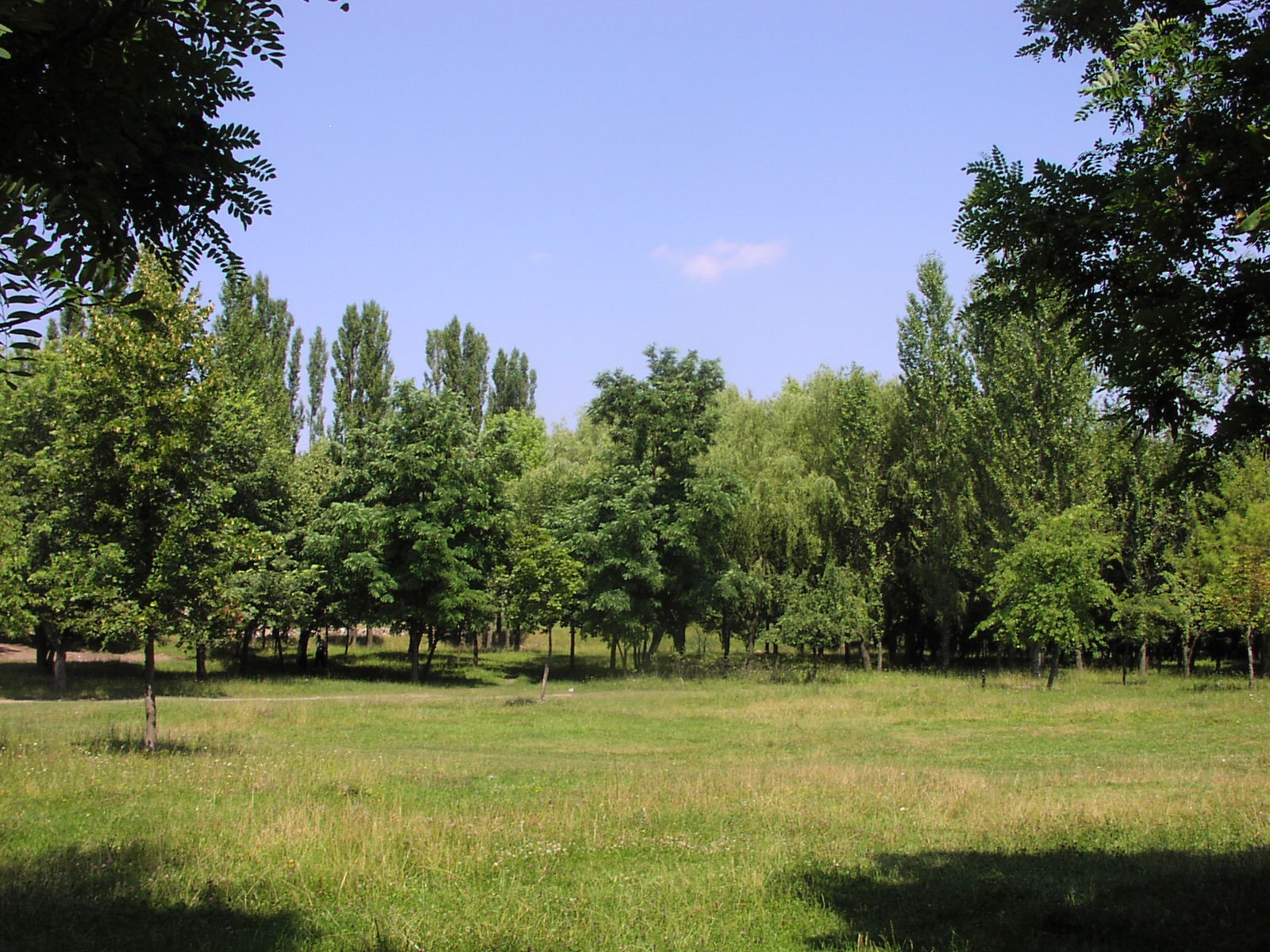 Зображення видалено.