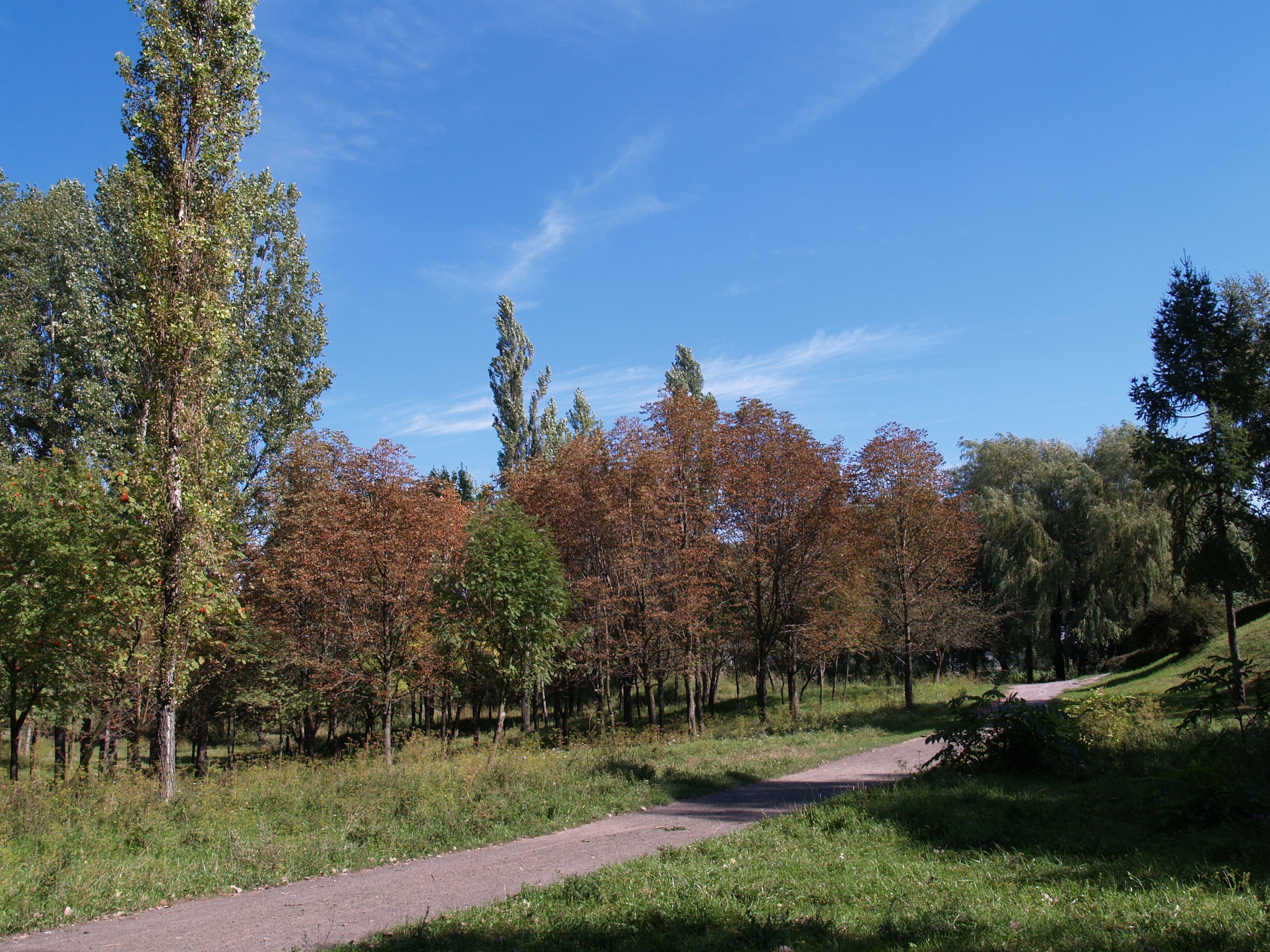 Зображення видалено.