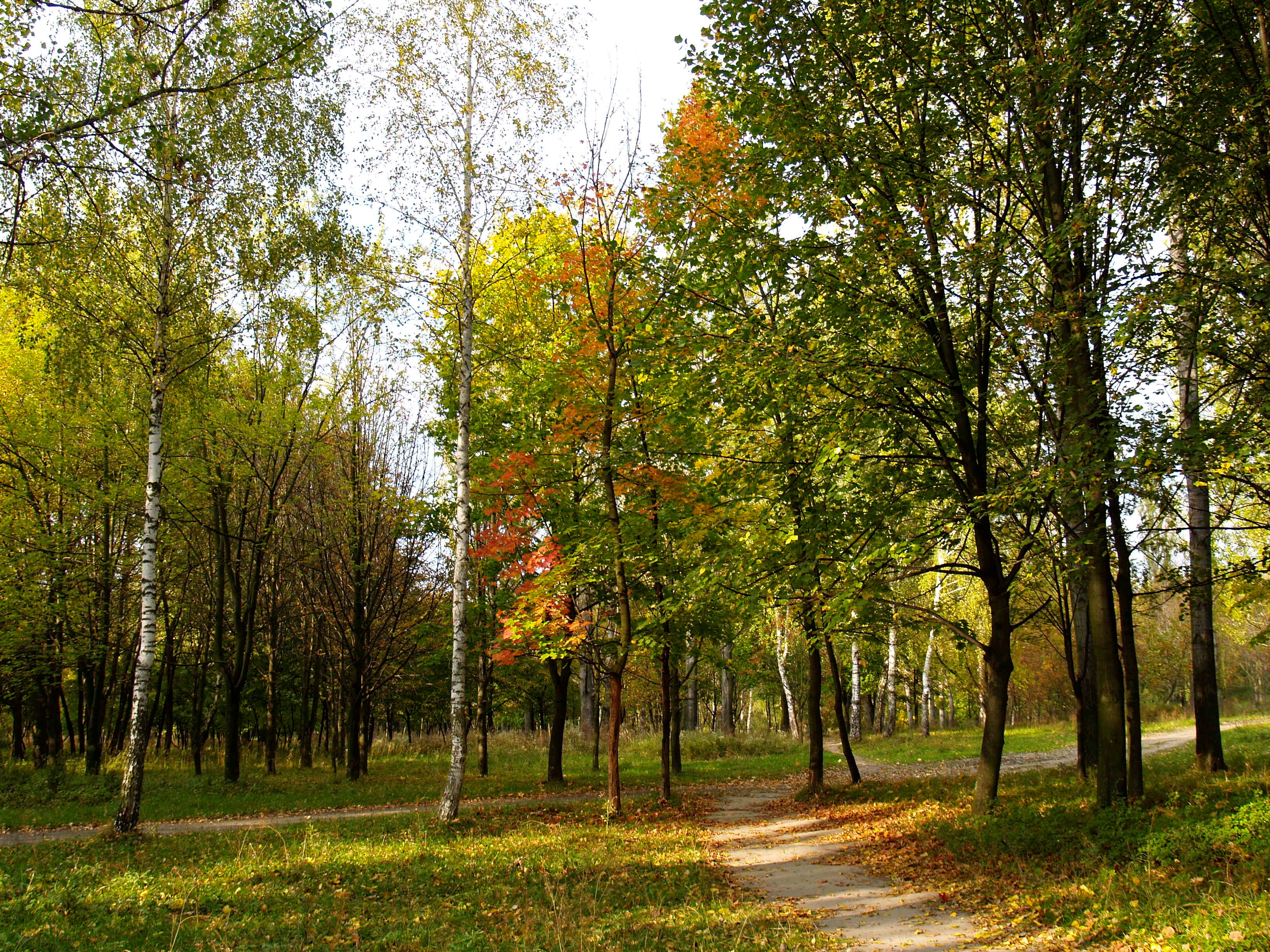 Зображення видалено.