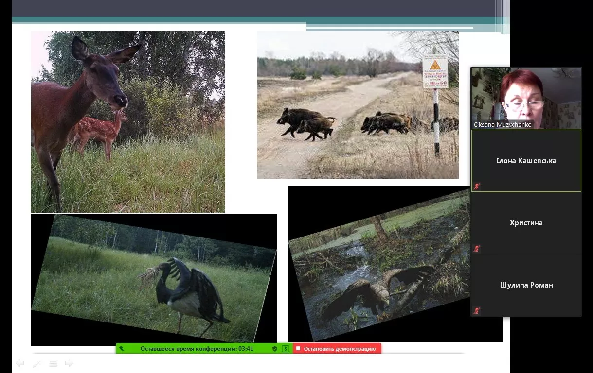 «Чорнобиль: 35 років потому»