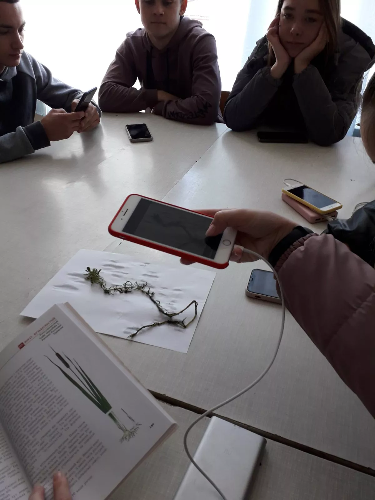 Студентам організували тренінг у секторі гідробіології Волинського ЦГМ