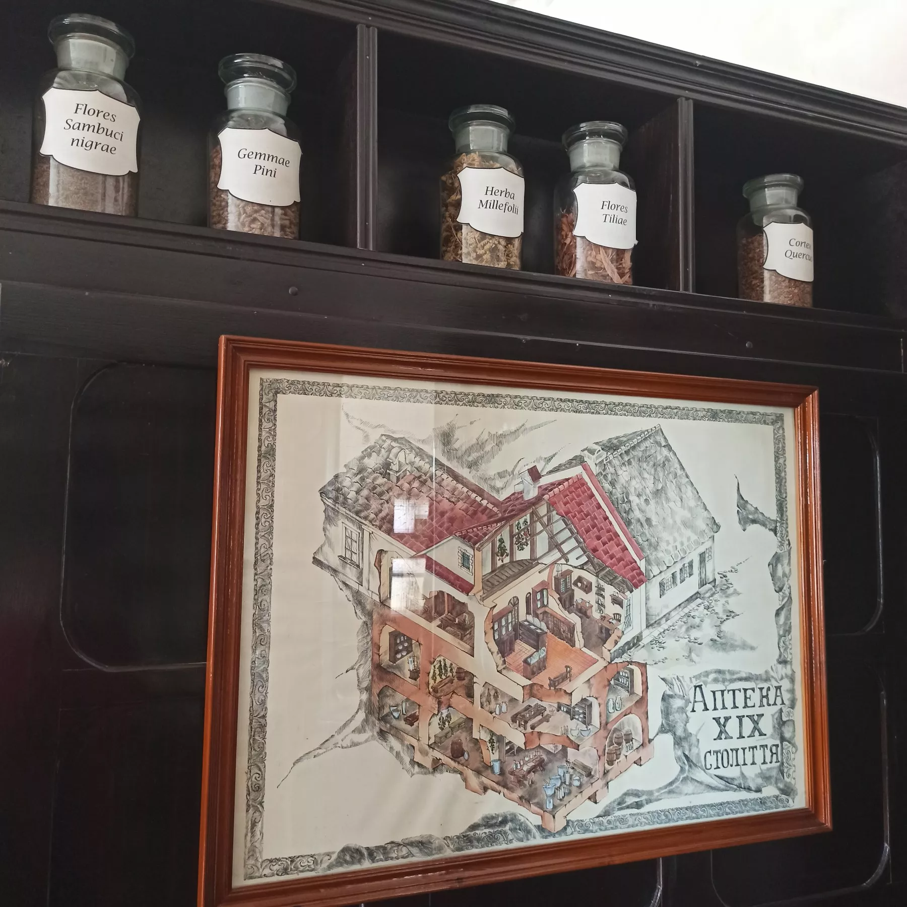 Студенти-фармацевти відвідали міську аптеку-музей