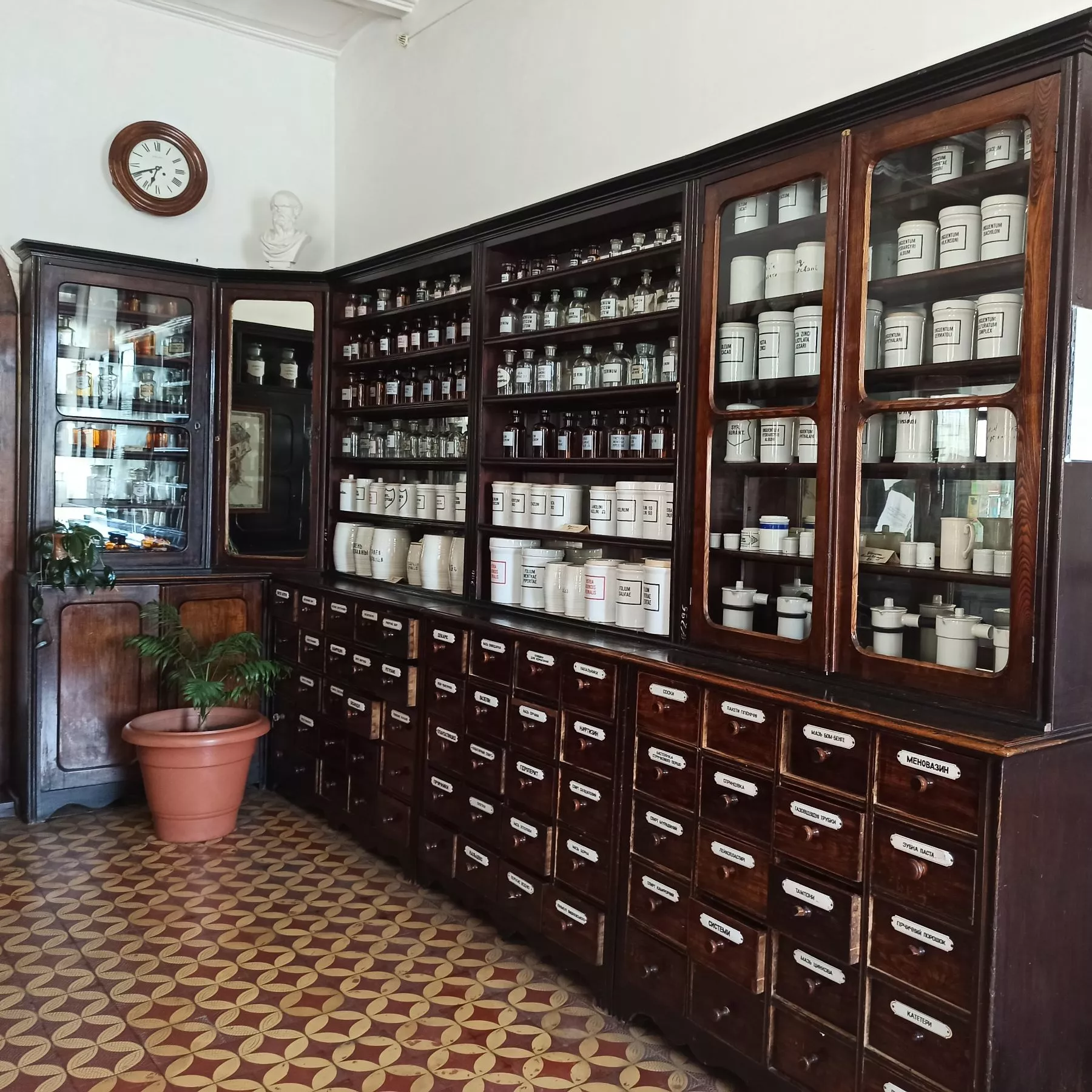 Студенти-фармацевти відвідали міську аптеку-музей