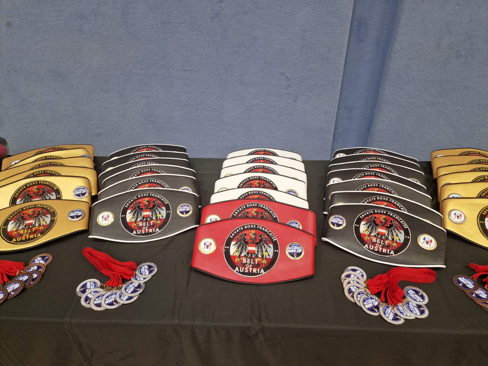 Спортсмени Університету привезли чемпіонські пояси з Австрії