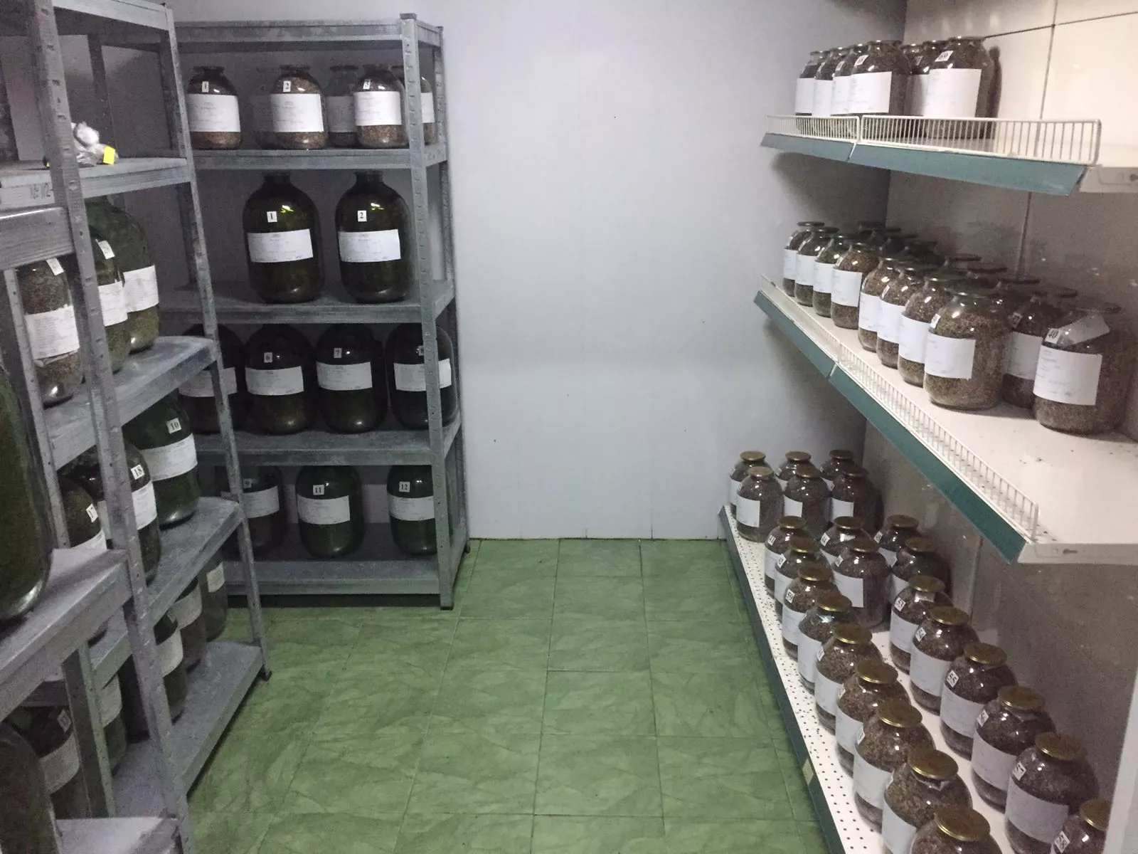 Поєднання науки і практики при підготовці фахівців спеціальності «Лісове господарство»