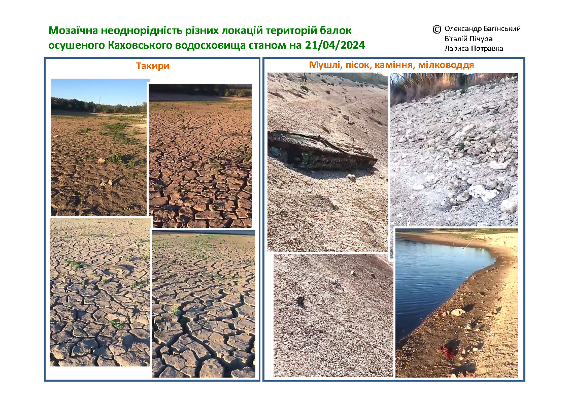 «Наслідки руйнації Каховської дамби та осушення водосховища»: гостьова лекція професора Віталія Пічури