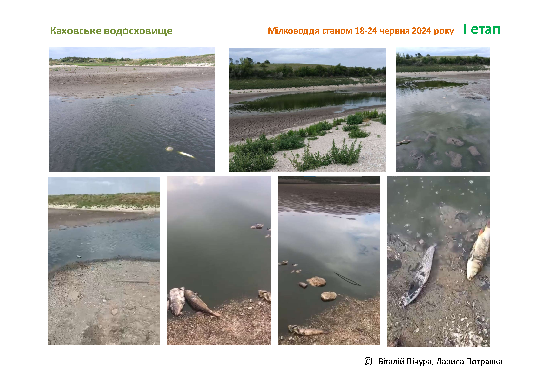 «Наслідки руйнації Каховської дамби та осушення водосховища»: гостьова лекція професора Віталія Пічури