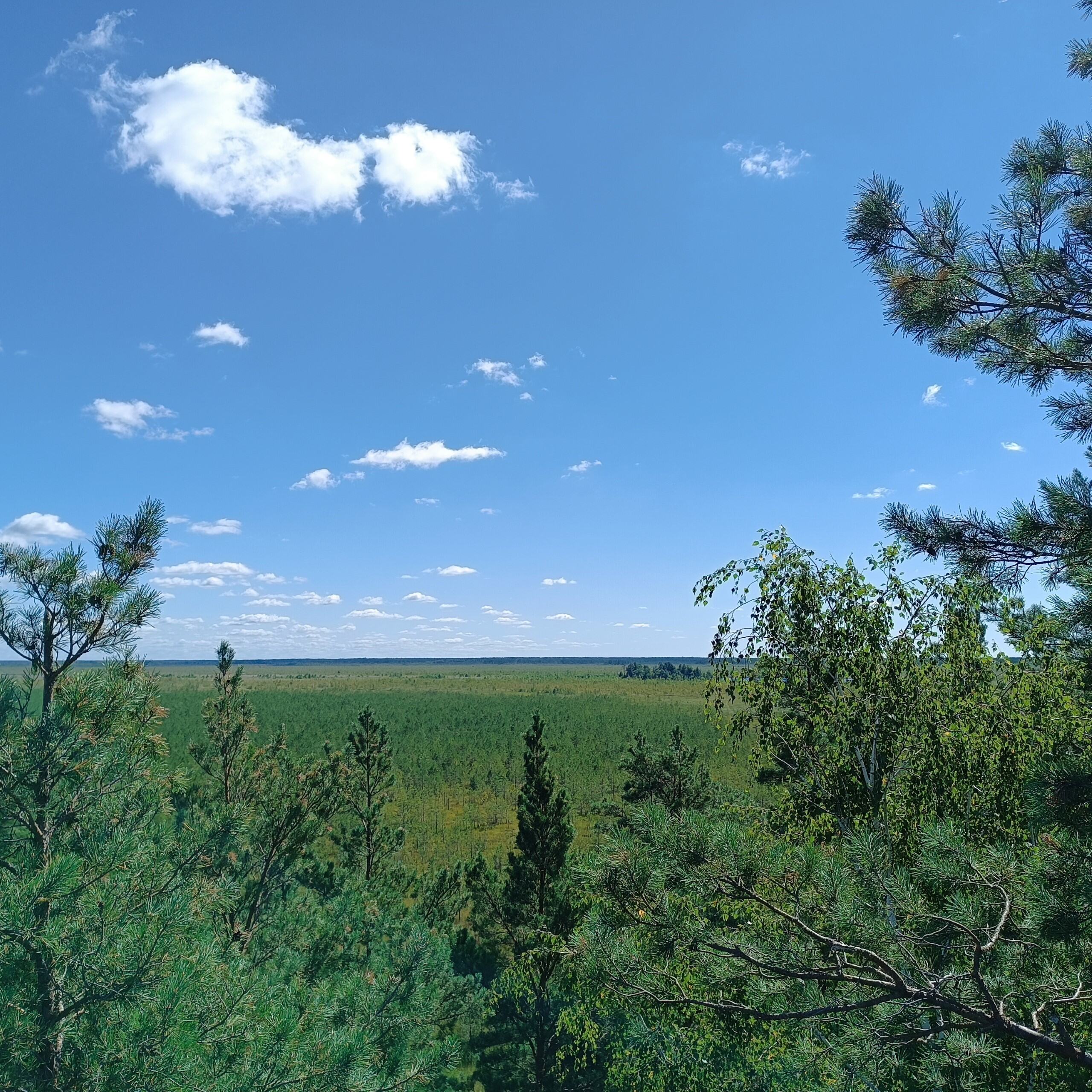 Черемський