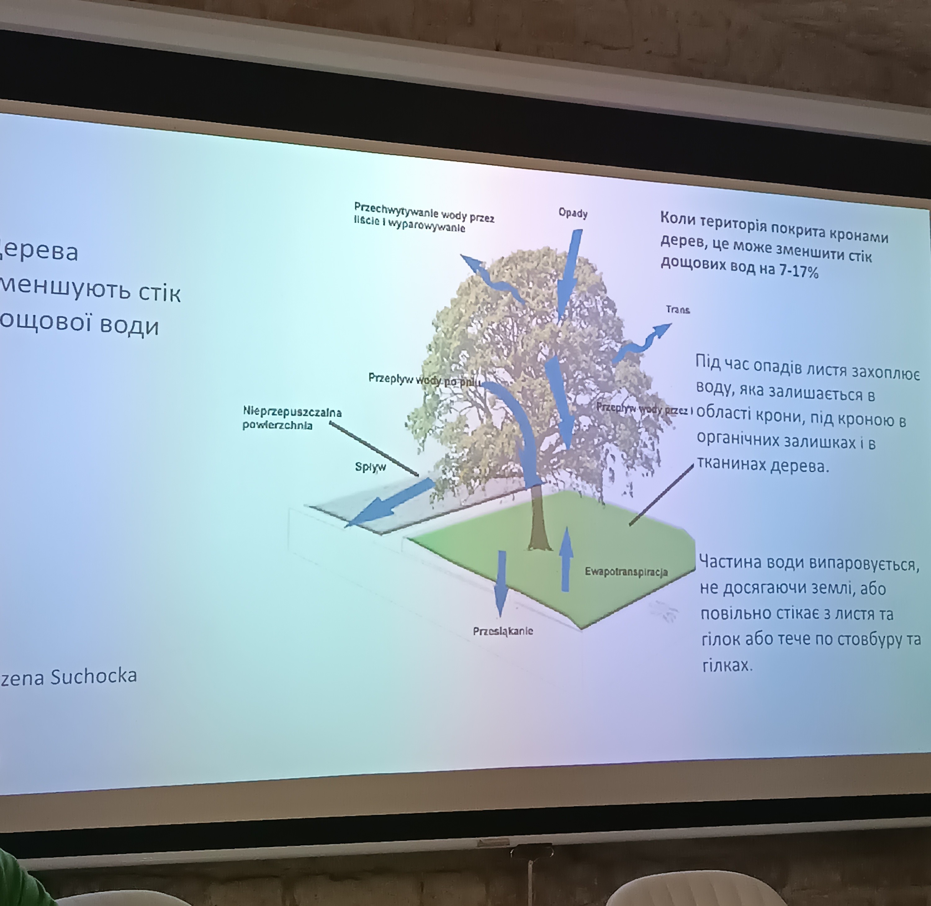 Міжнародний обмін досвідом у сфері арбористики: тренінг у Луцьку