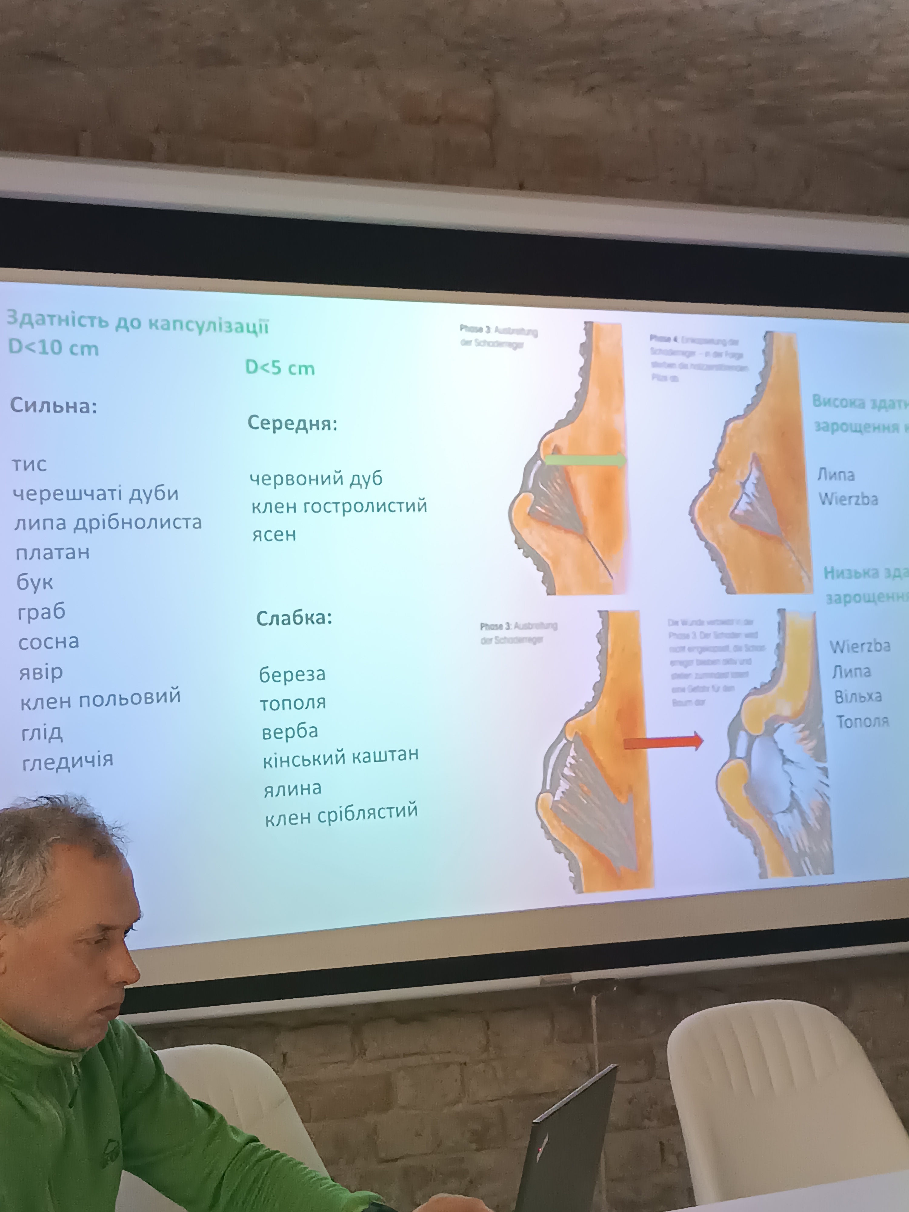 Міжнародний обмін досвідом у сфері арбористики: тренінг у Луцьку