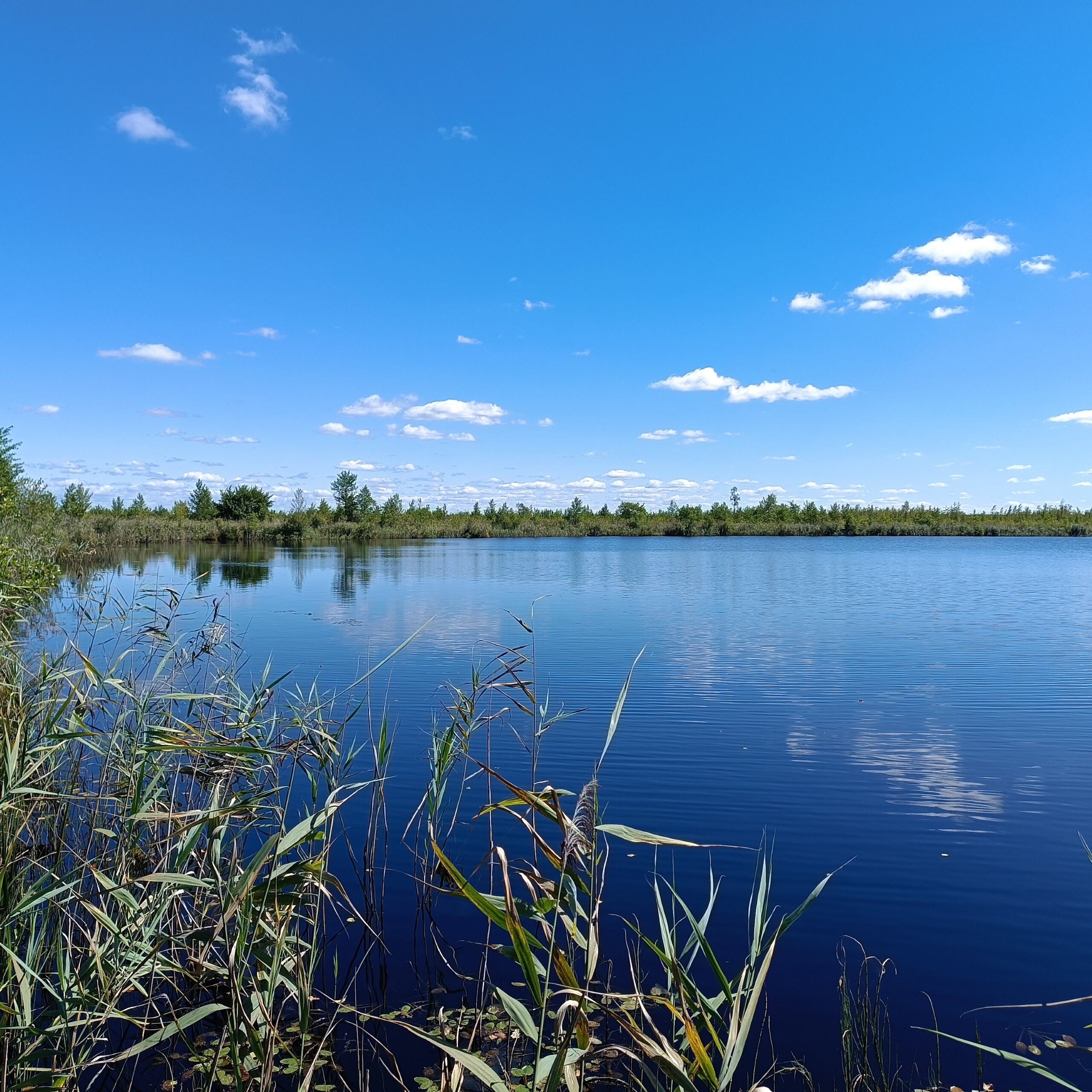 Черемський