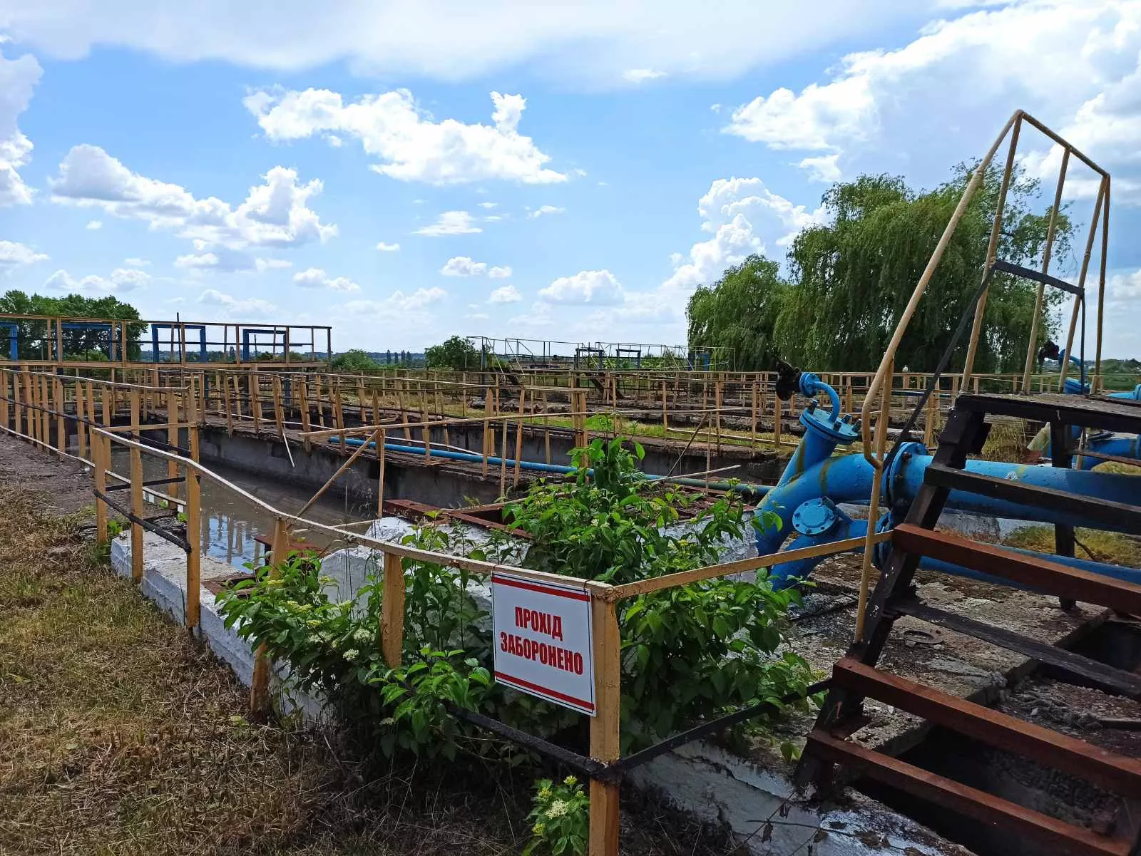 Профорієнтаційні заходи на географічному факультеті