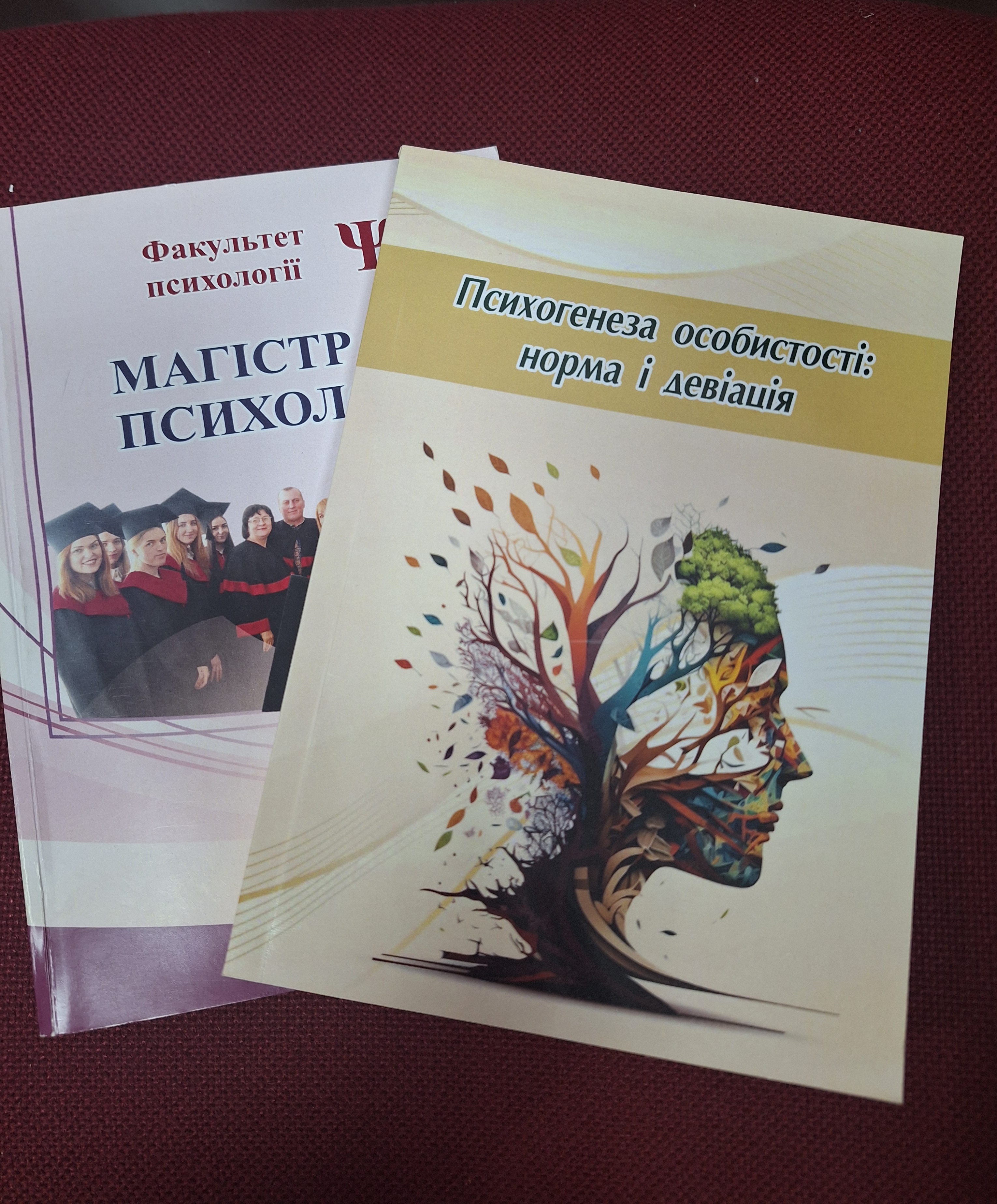 Навчання в магістратурі з психології як шлях професійного і наукового самоствердження та самореалізації