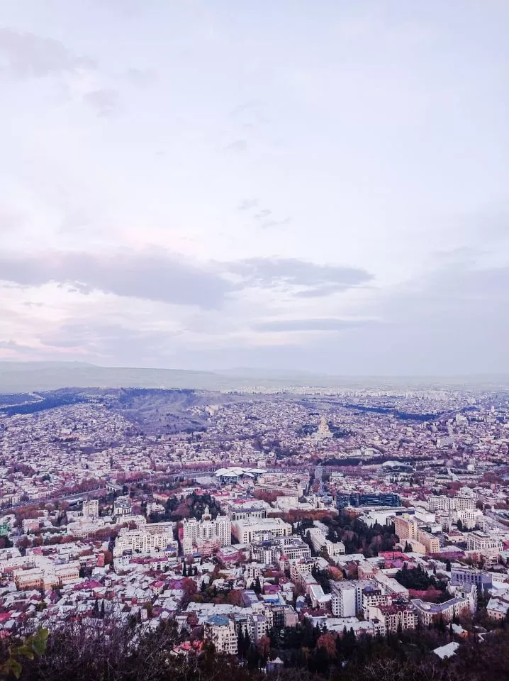Представники ФМВ обмінювалися досвідом молодіжних ініціатив у Тбілісі