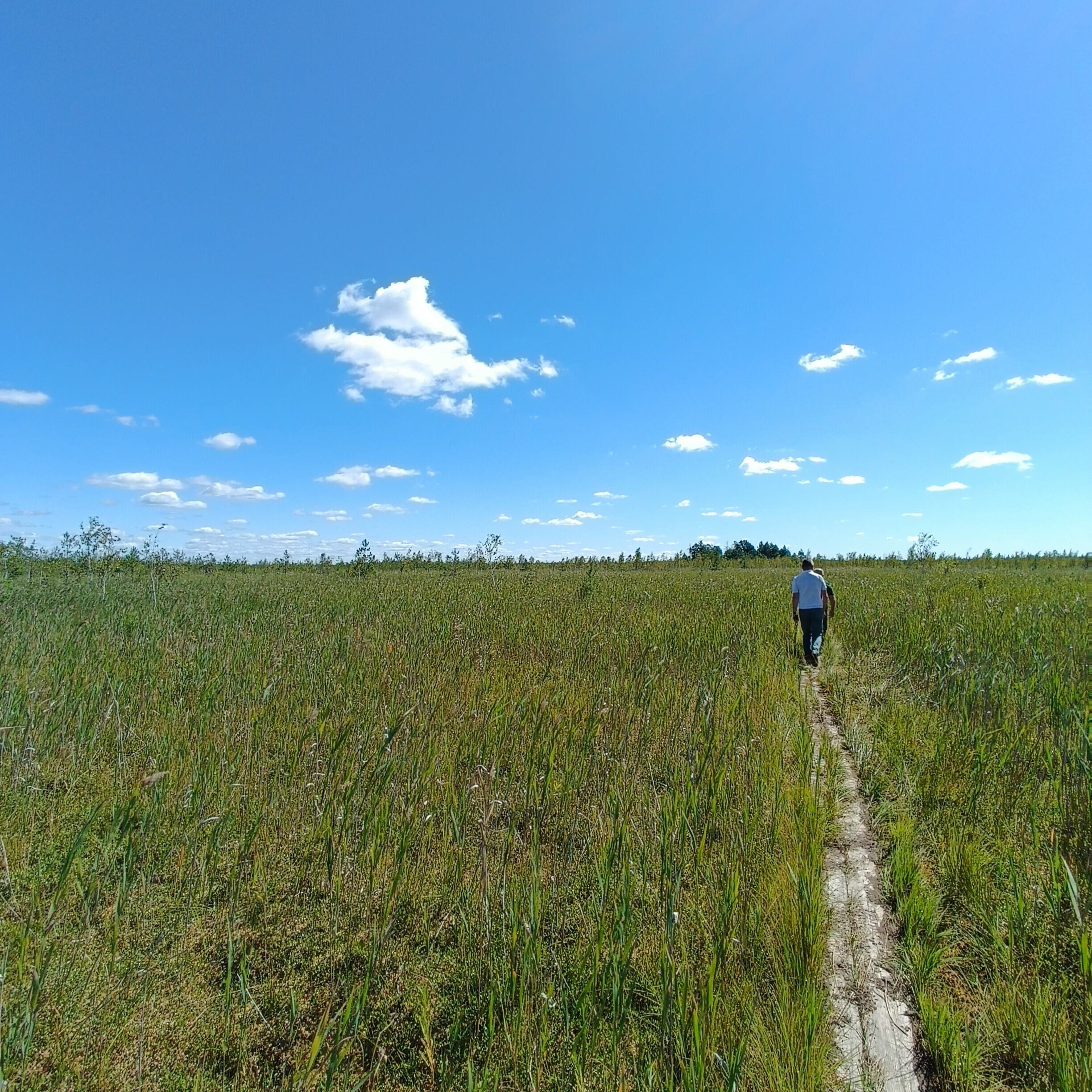 Черемський