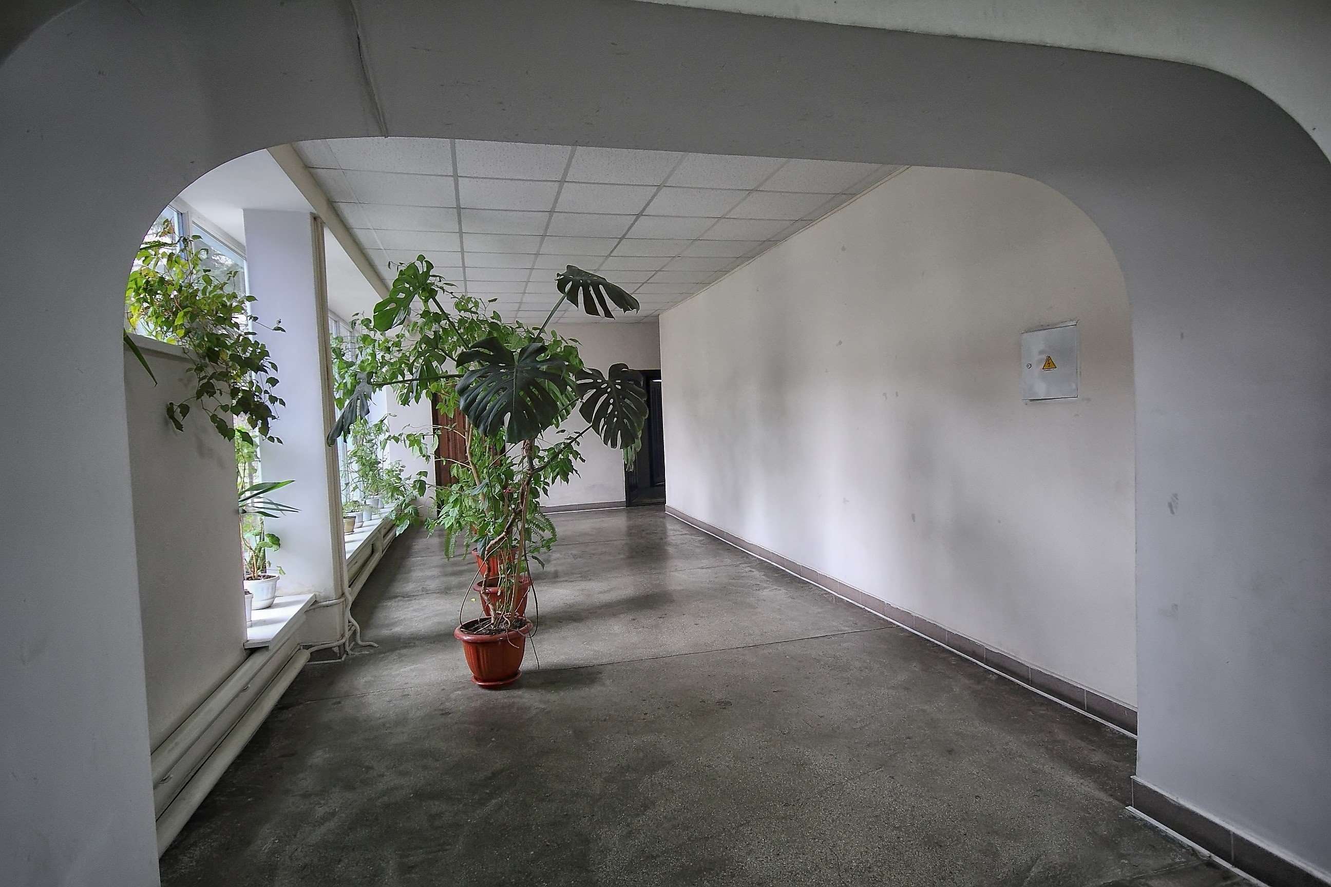 Зображення видалено.