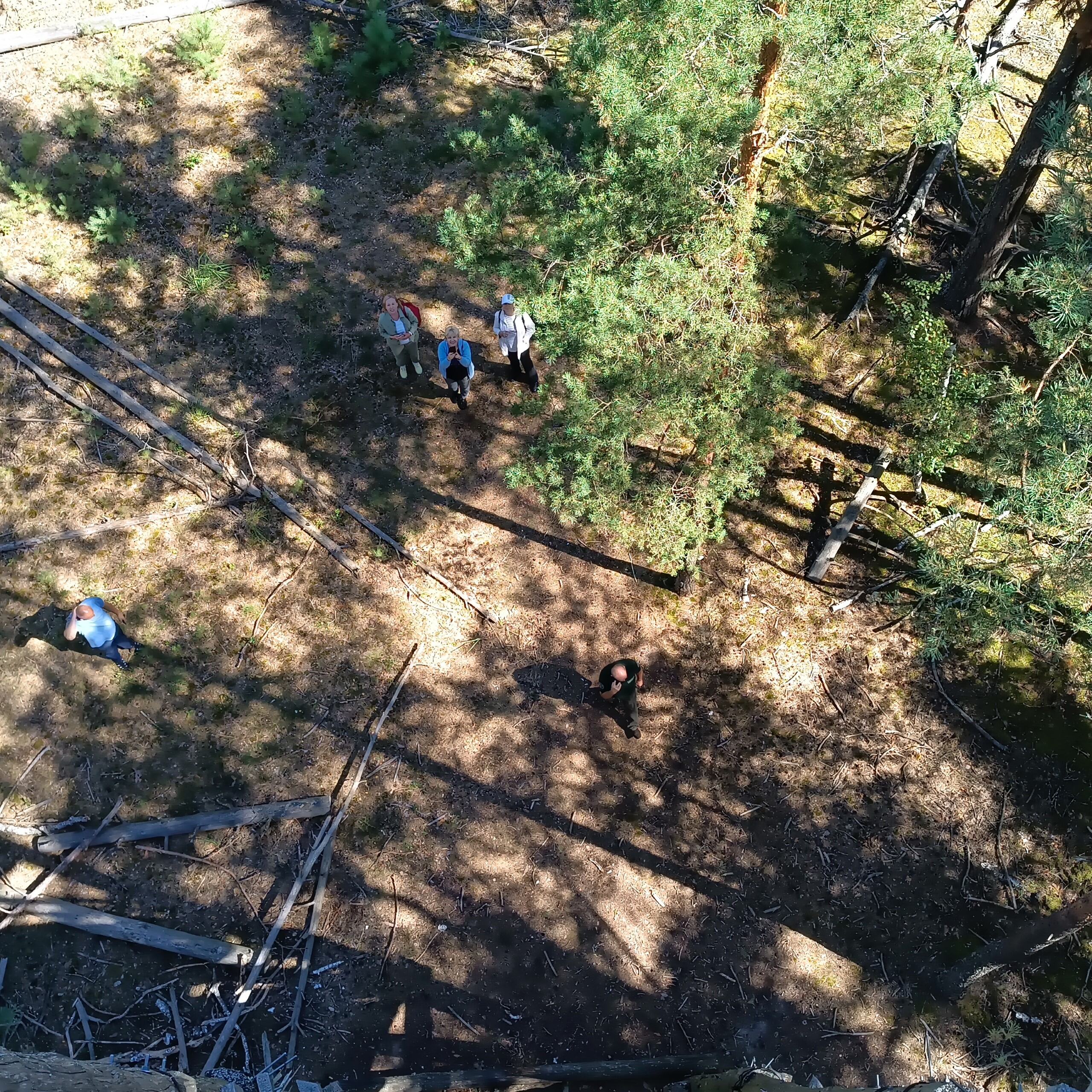 Черемський