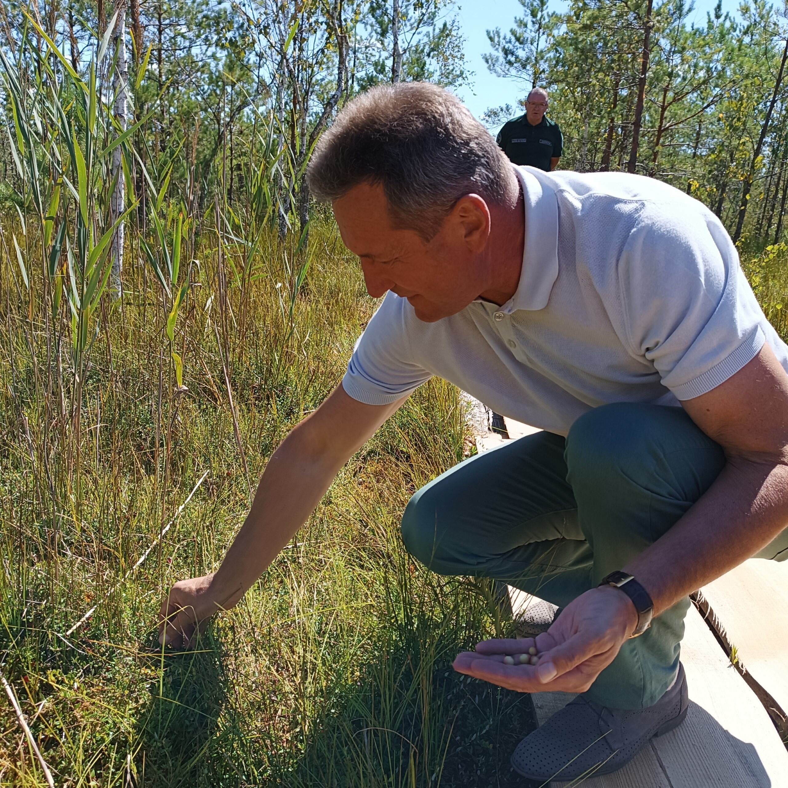 Черемський