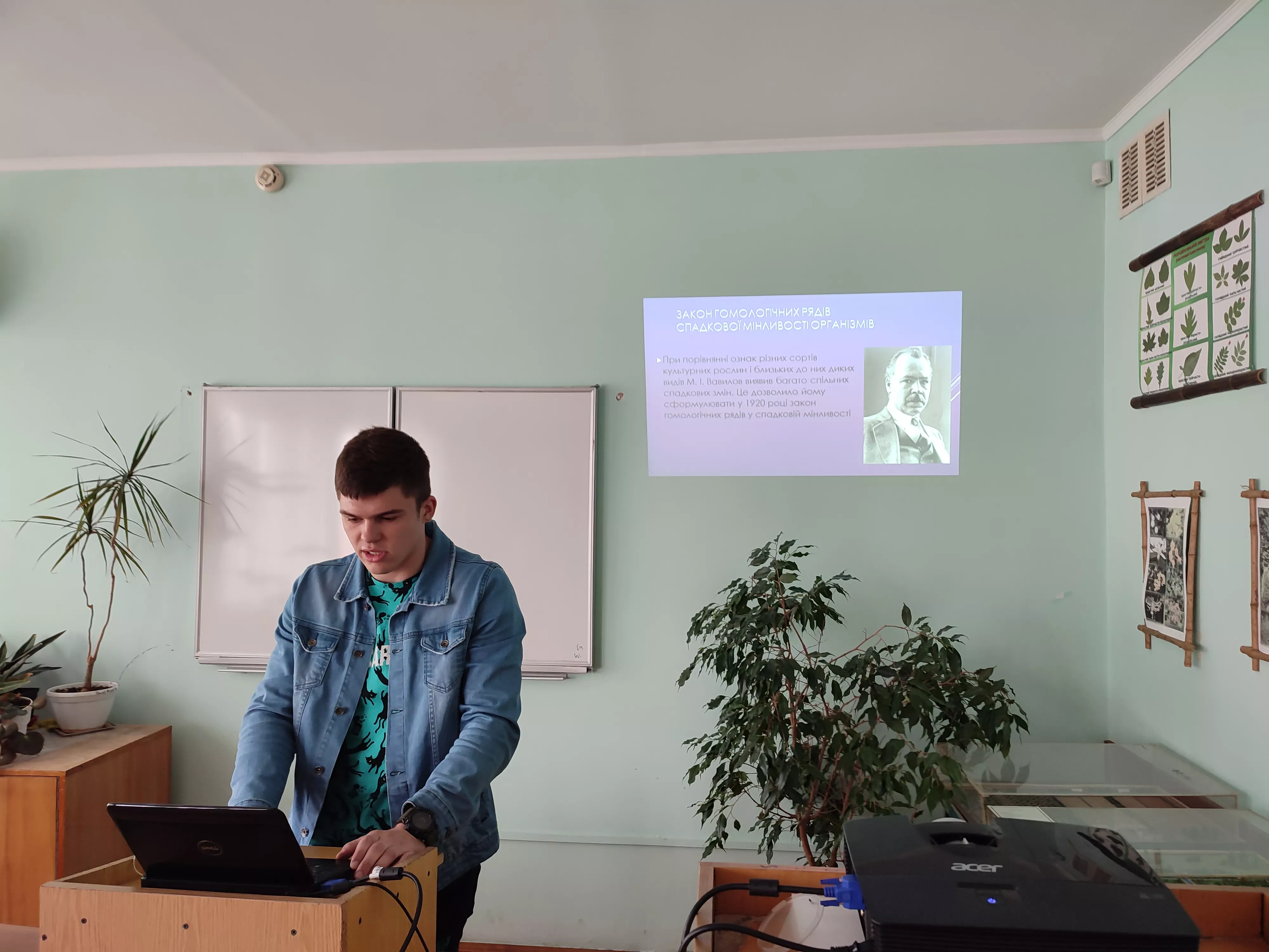 Розвиток лісової селекції в Україні