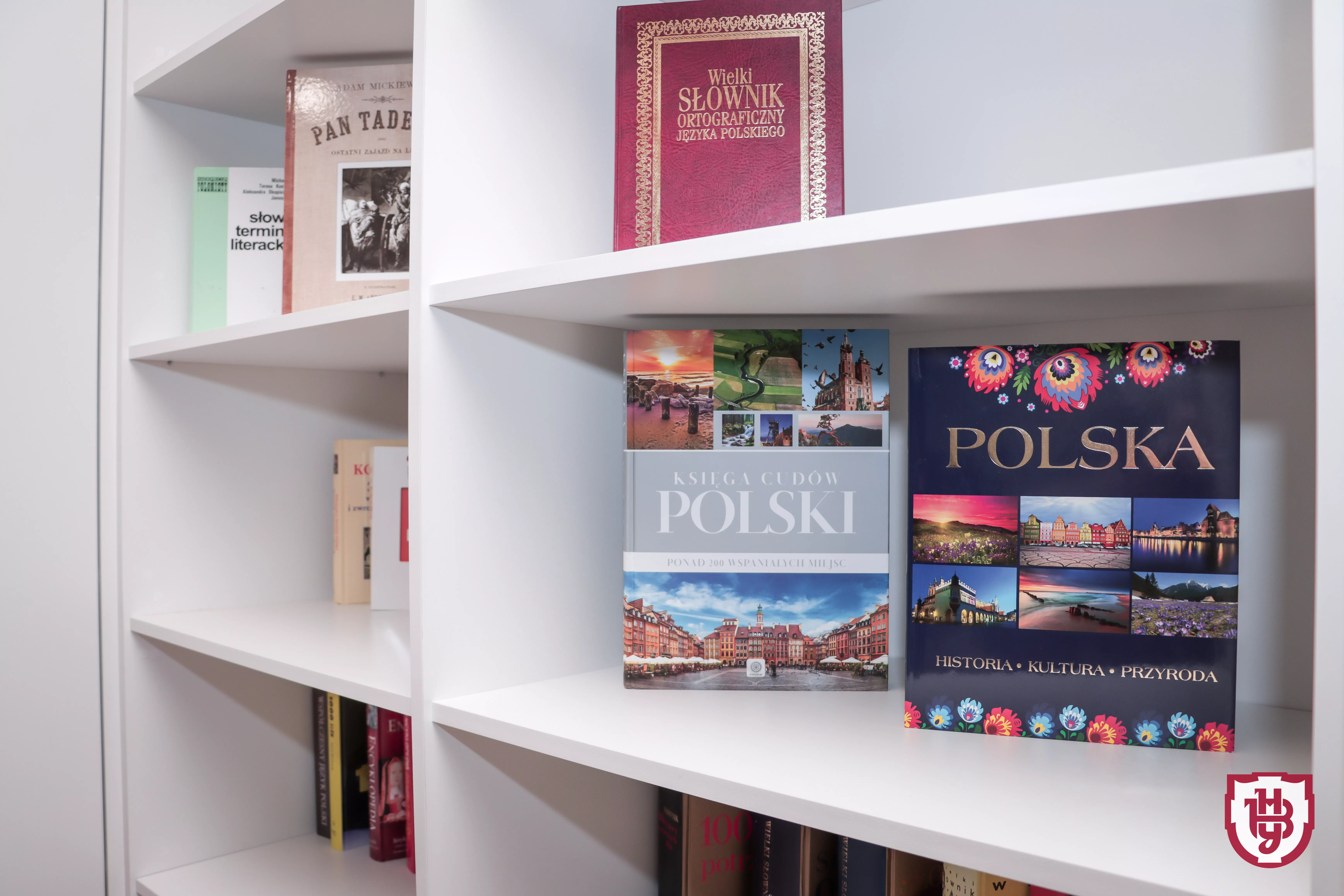 полоністика