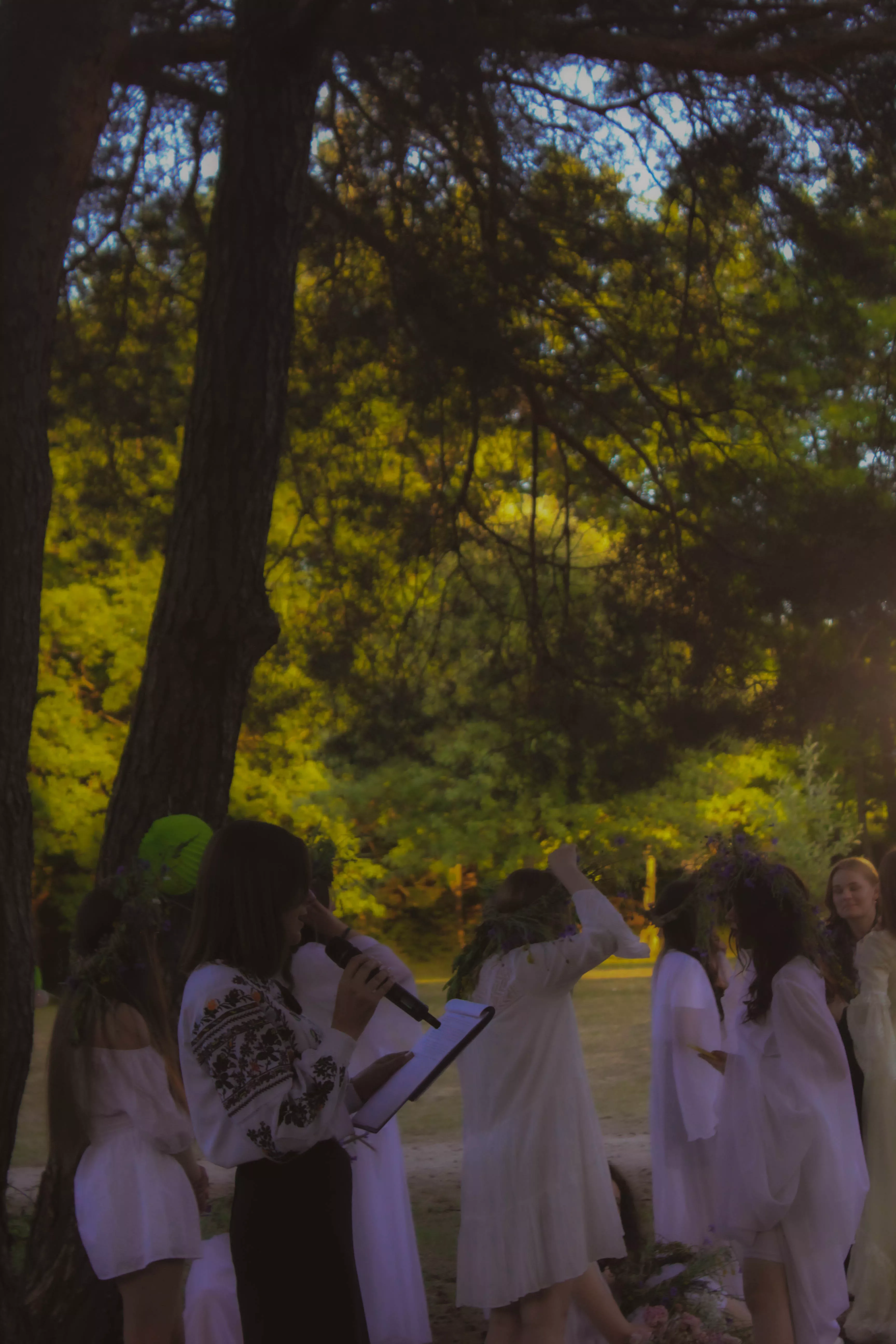 Івана_Купала