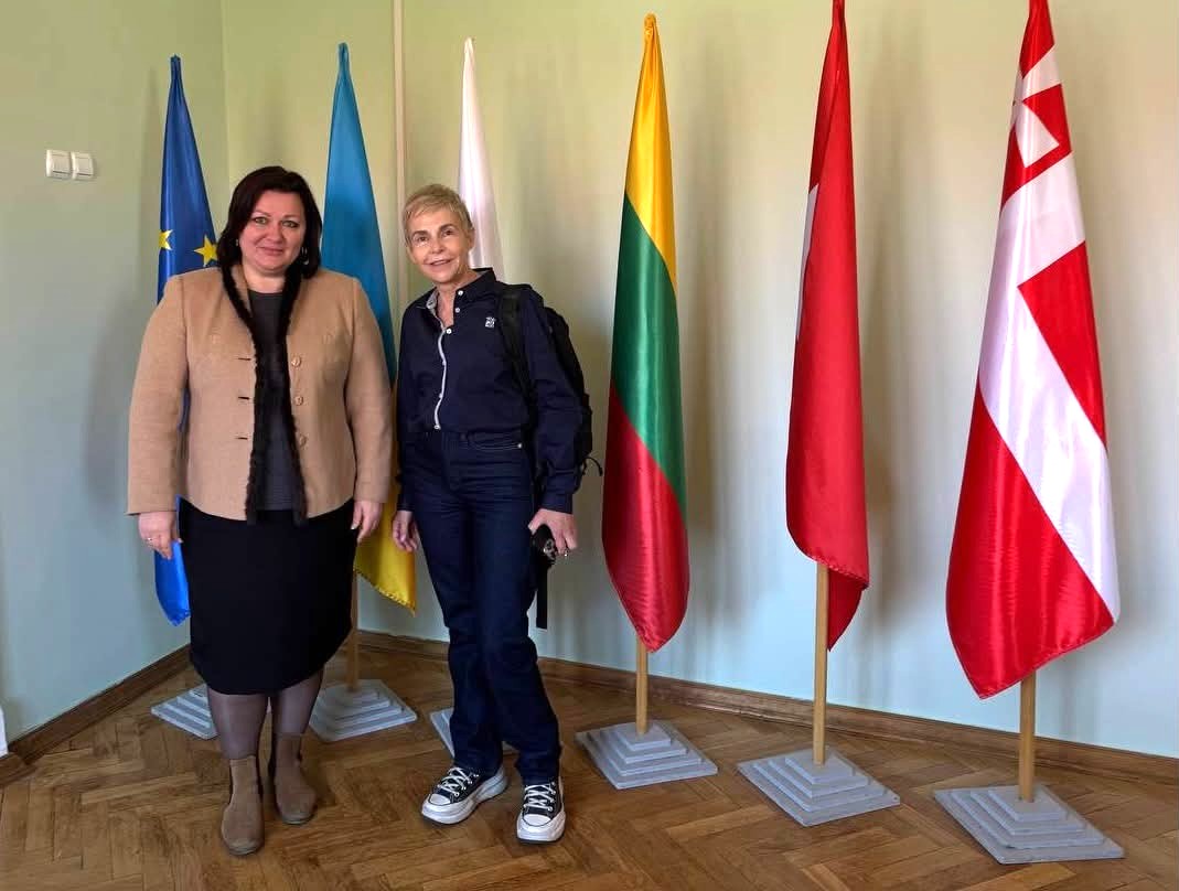 Відкрита зустріч румунської журналістки та політичної аналітикині Сабіни Фаті на ФМВ