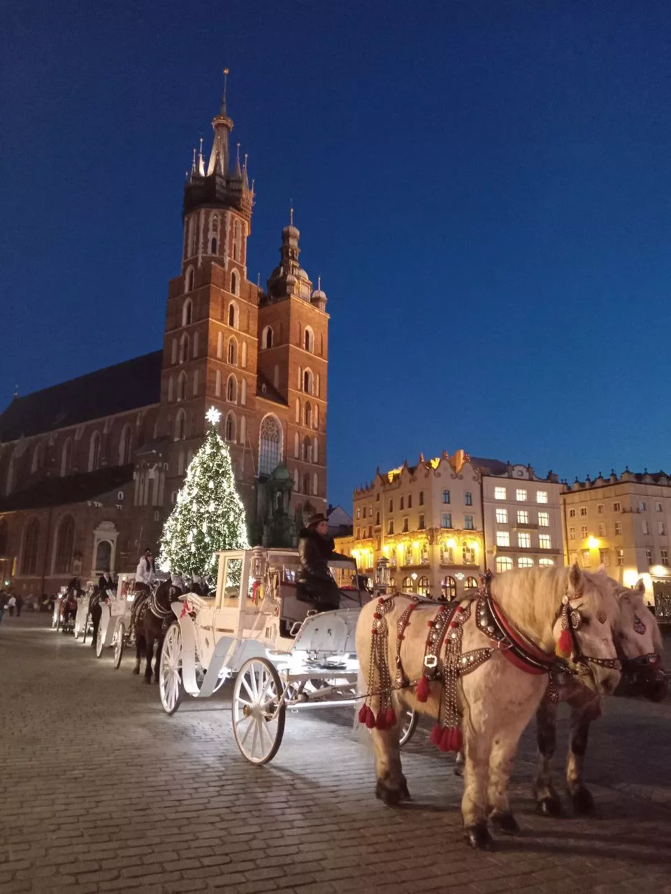 міжнародні_зв'язки