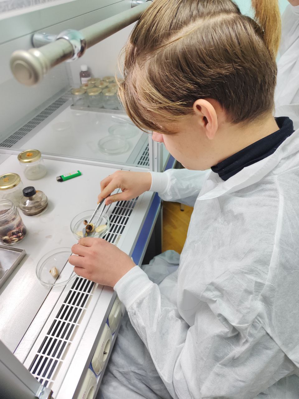 Продовжуємо знайомити учнів із факультетом біології та лісового господарства