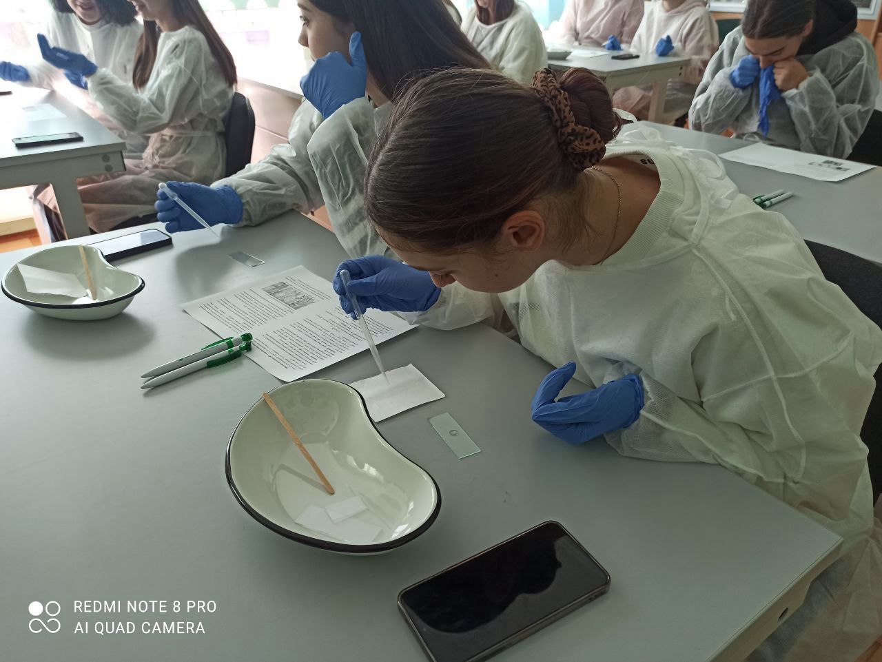 Продовжуємо знайомити учнів із факультетом біології та лісового господарства